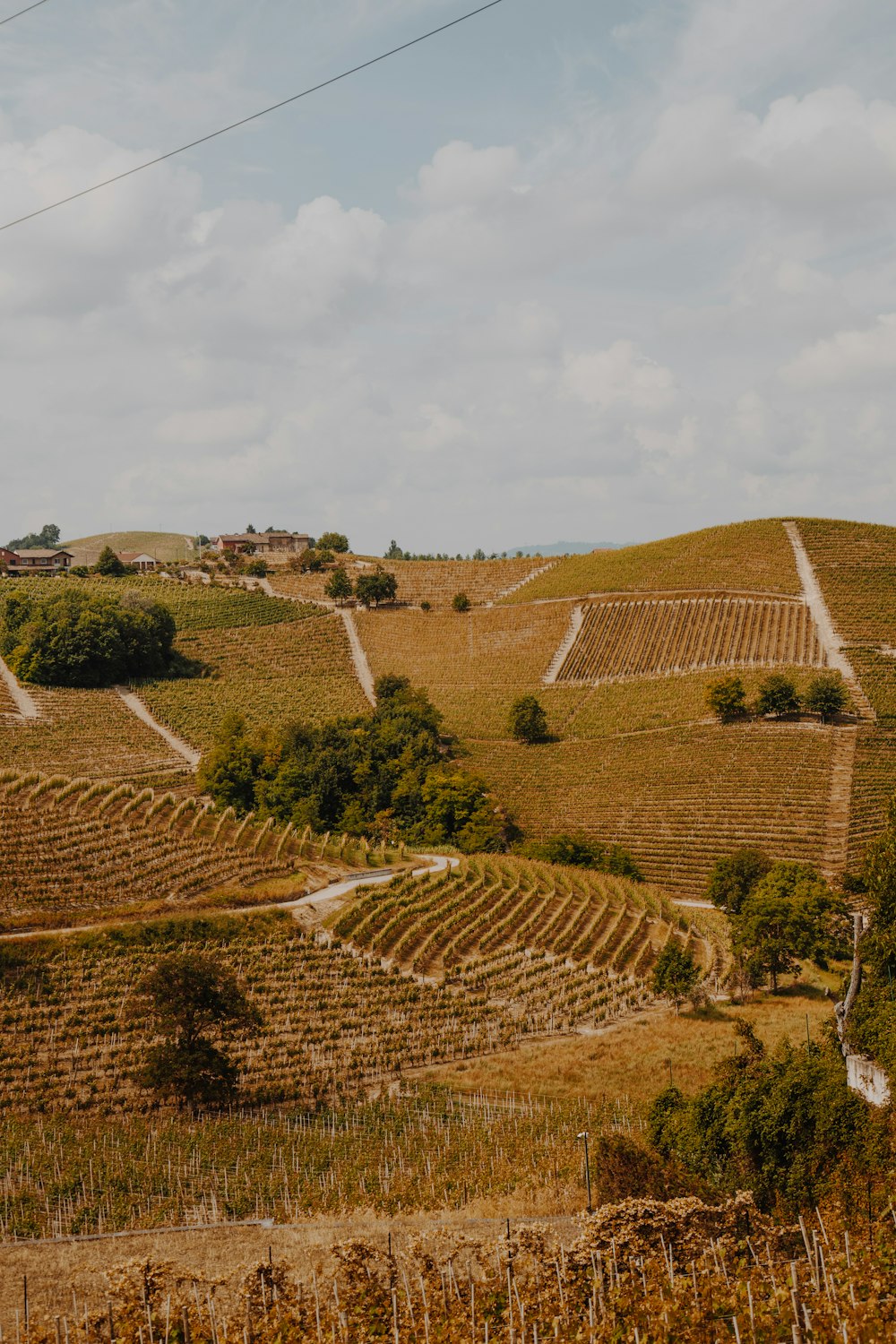 a hill with a bunch of trees on top of it