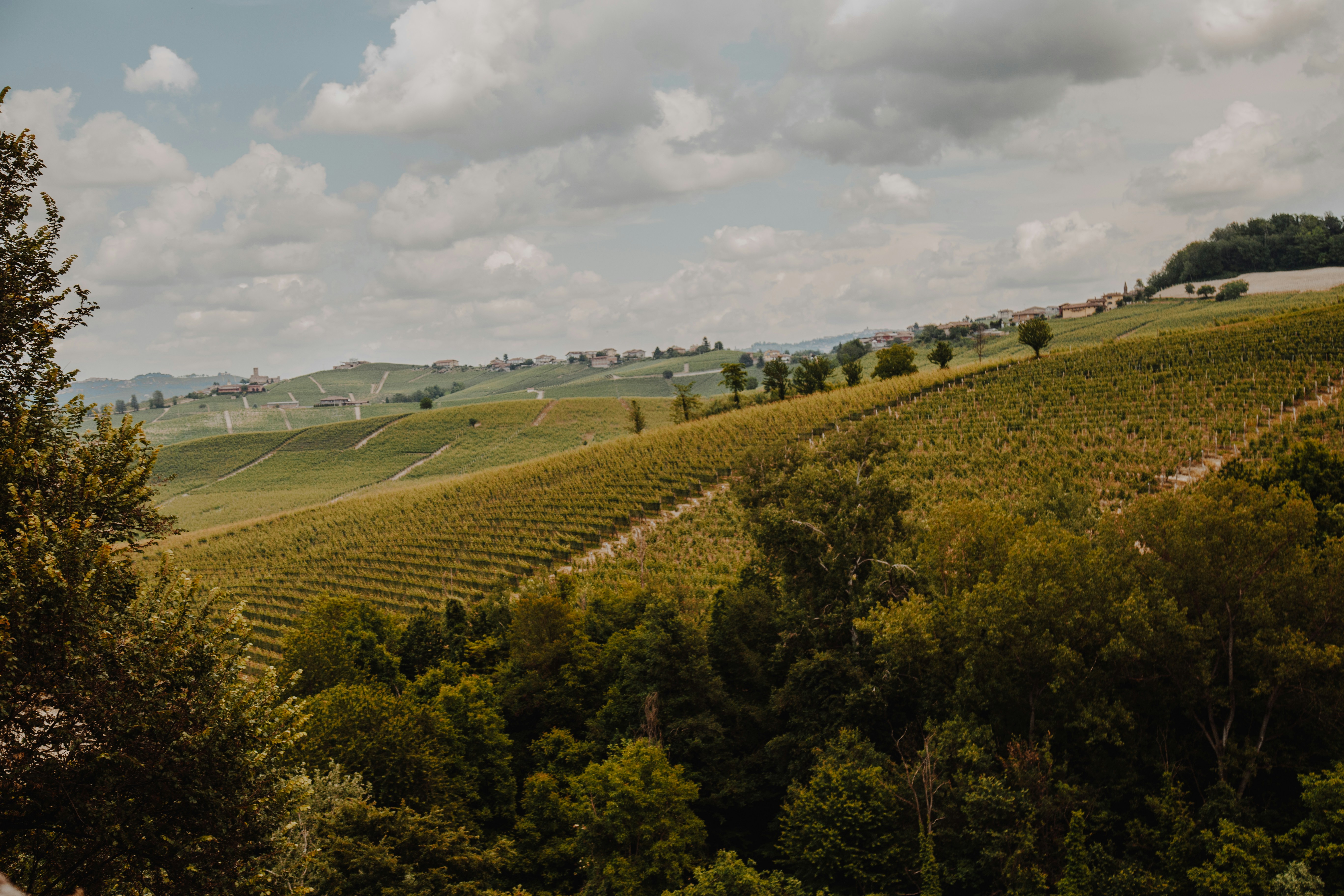 Photo by i_am_simoesse