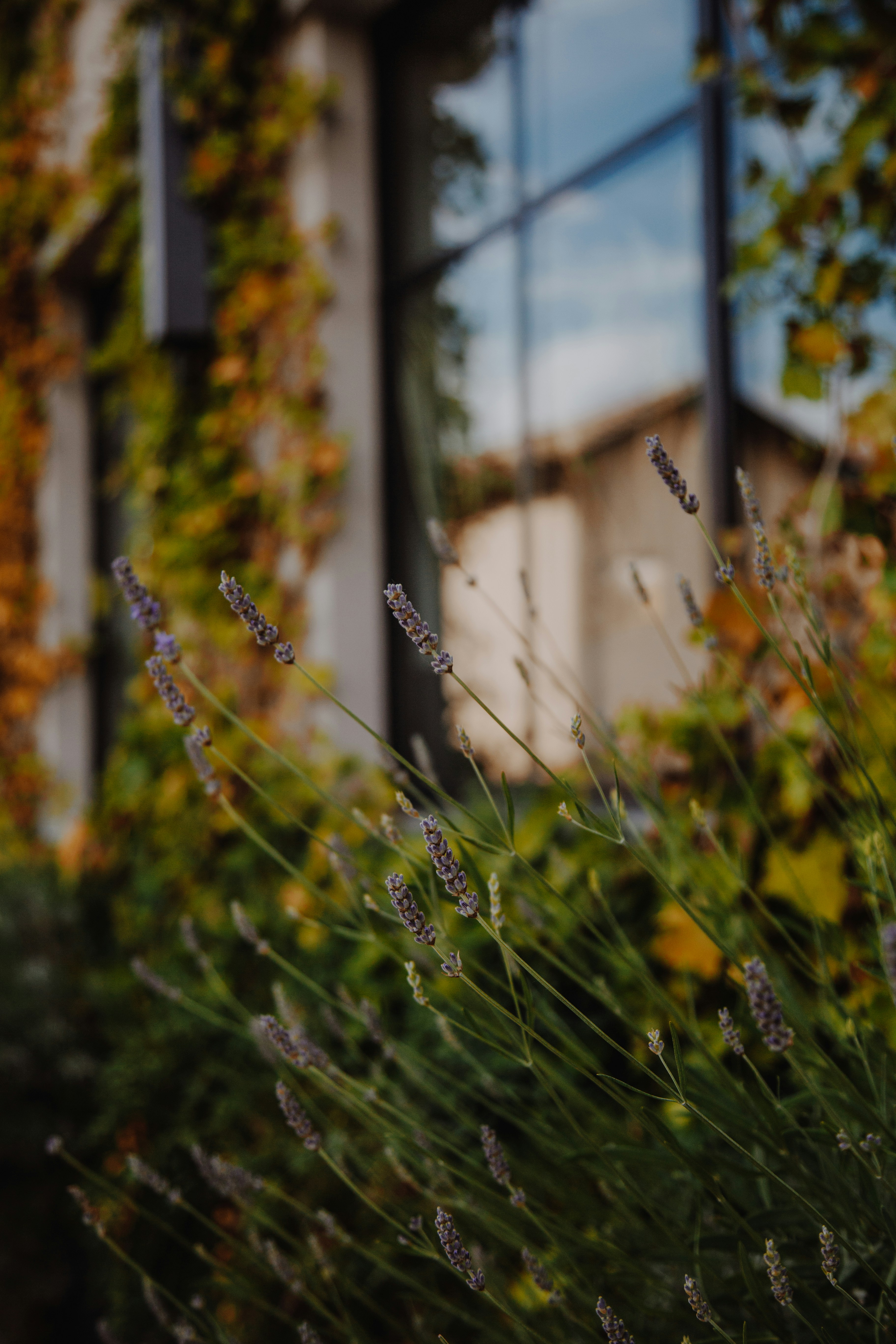 Photo by i_am_simoesse