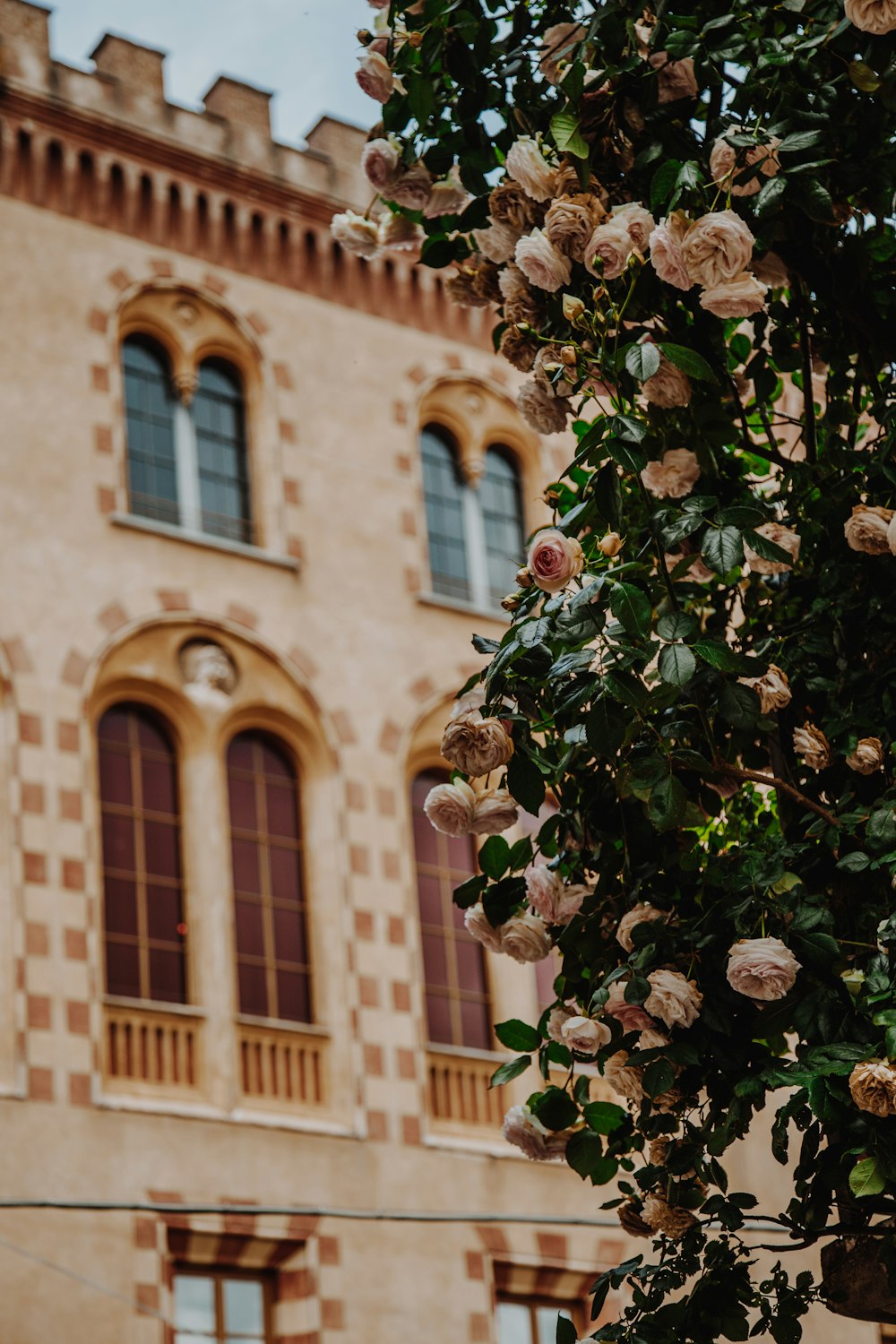 a large building with a bunch of flowers hanging from it's side