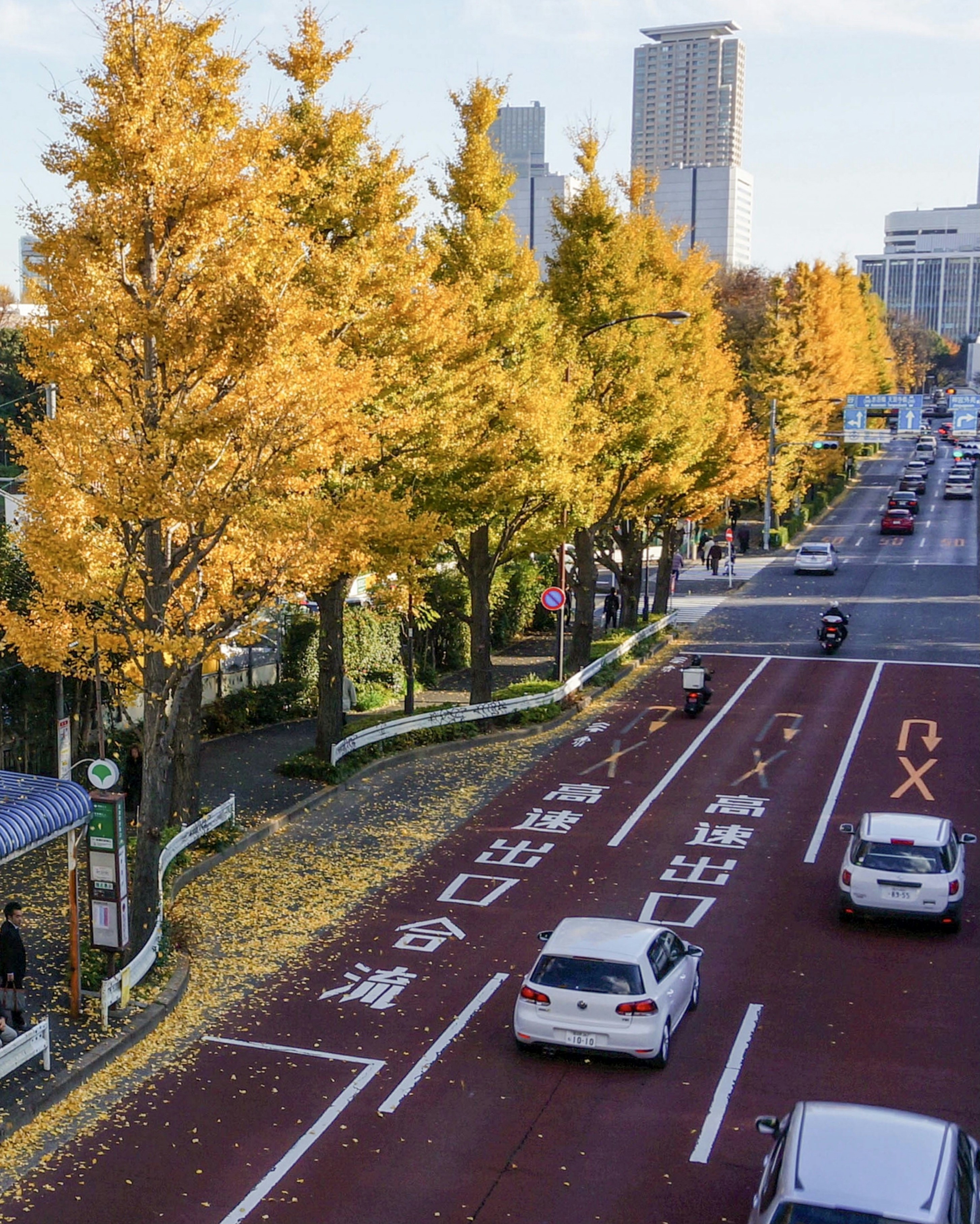 Photo by maggie__1105