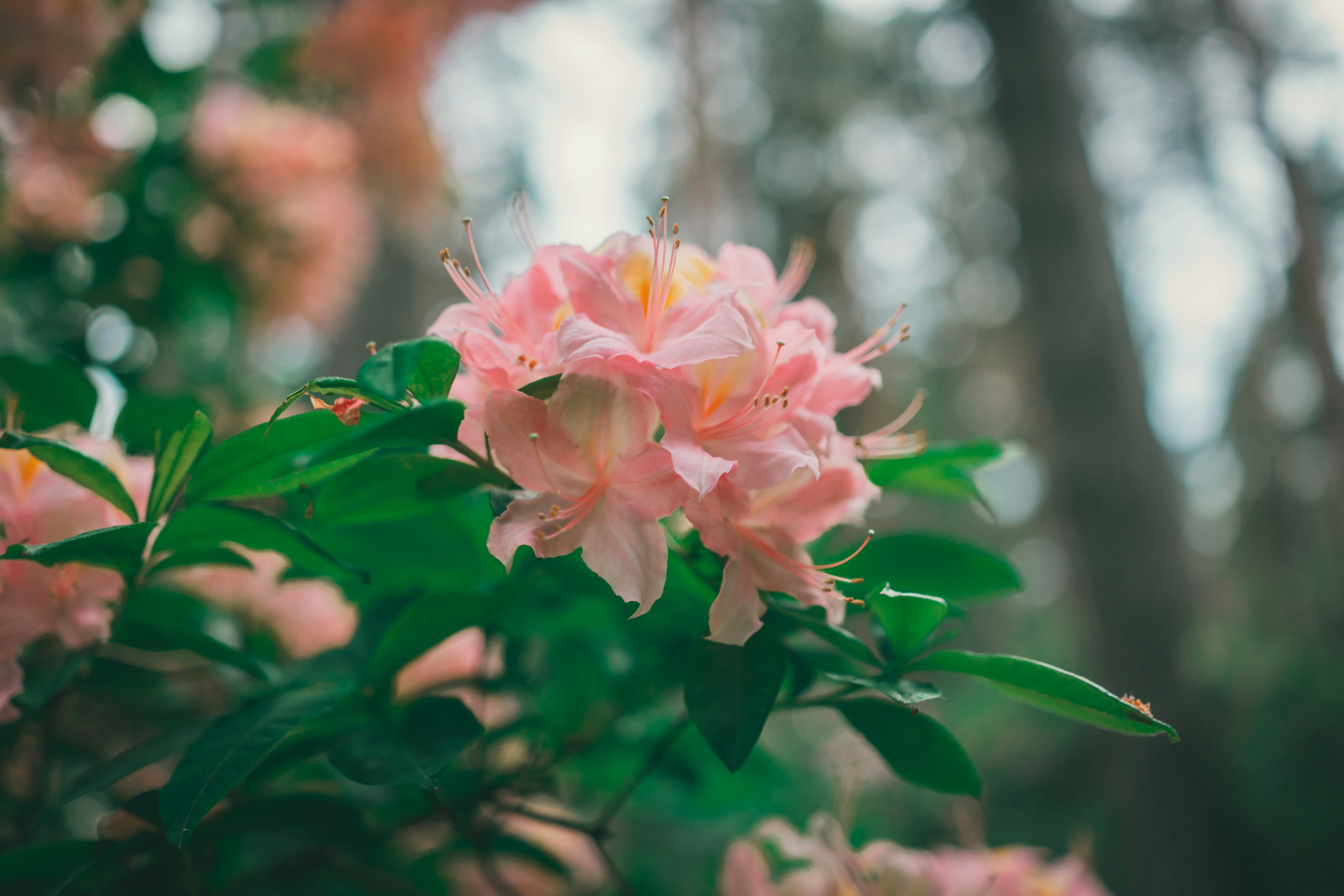 Photo by raimondklavins