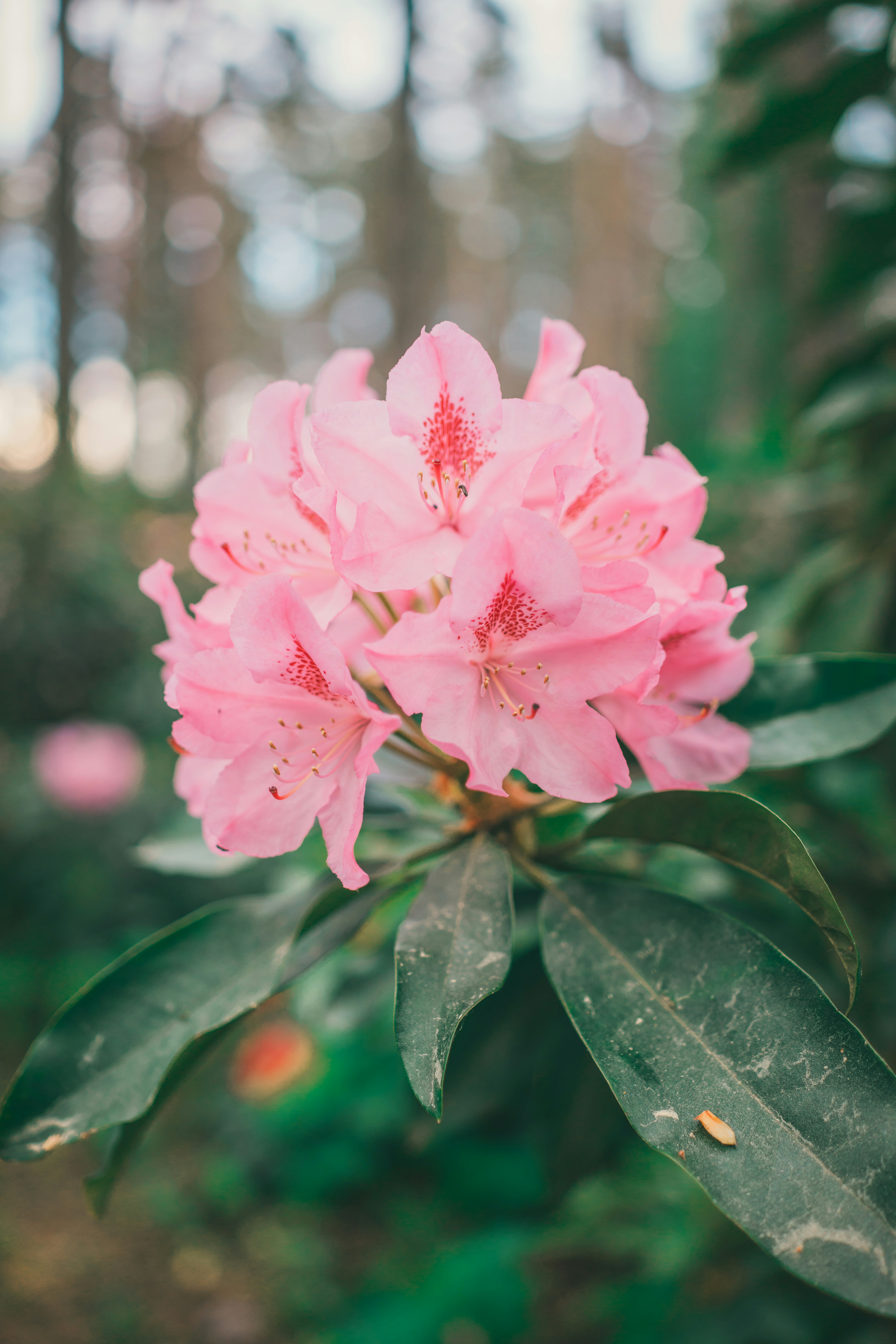 Photo by raimondklavins