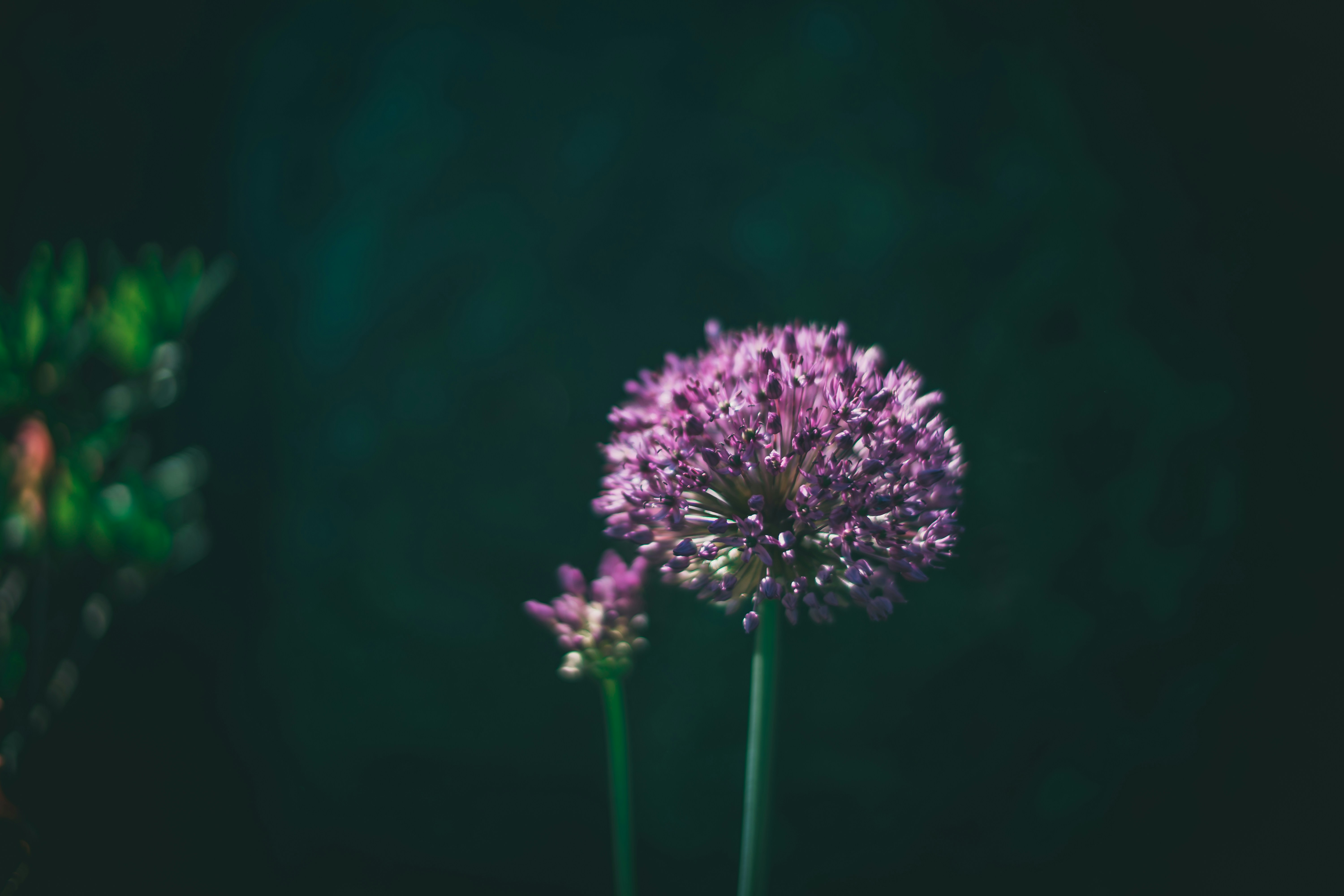 Photo by raimondklavins