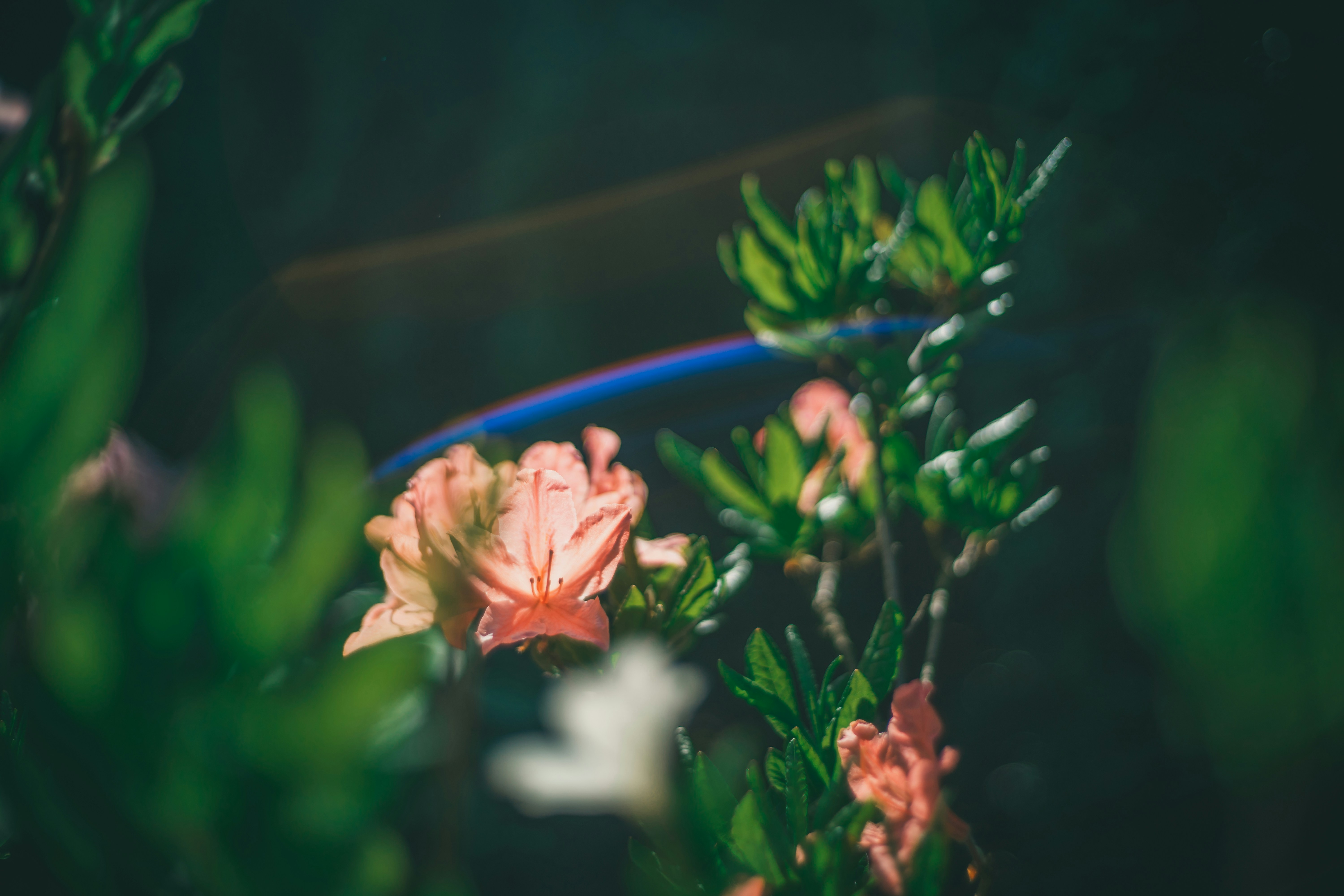 Photo by raimondklavins