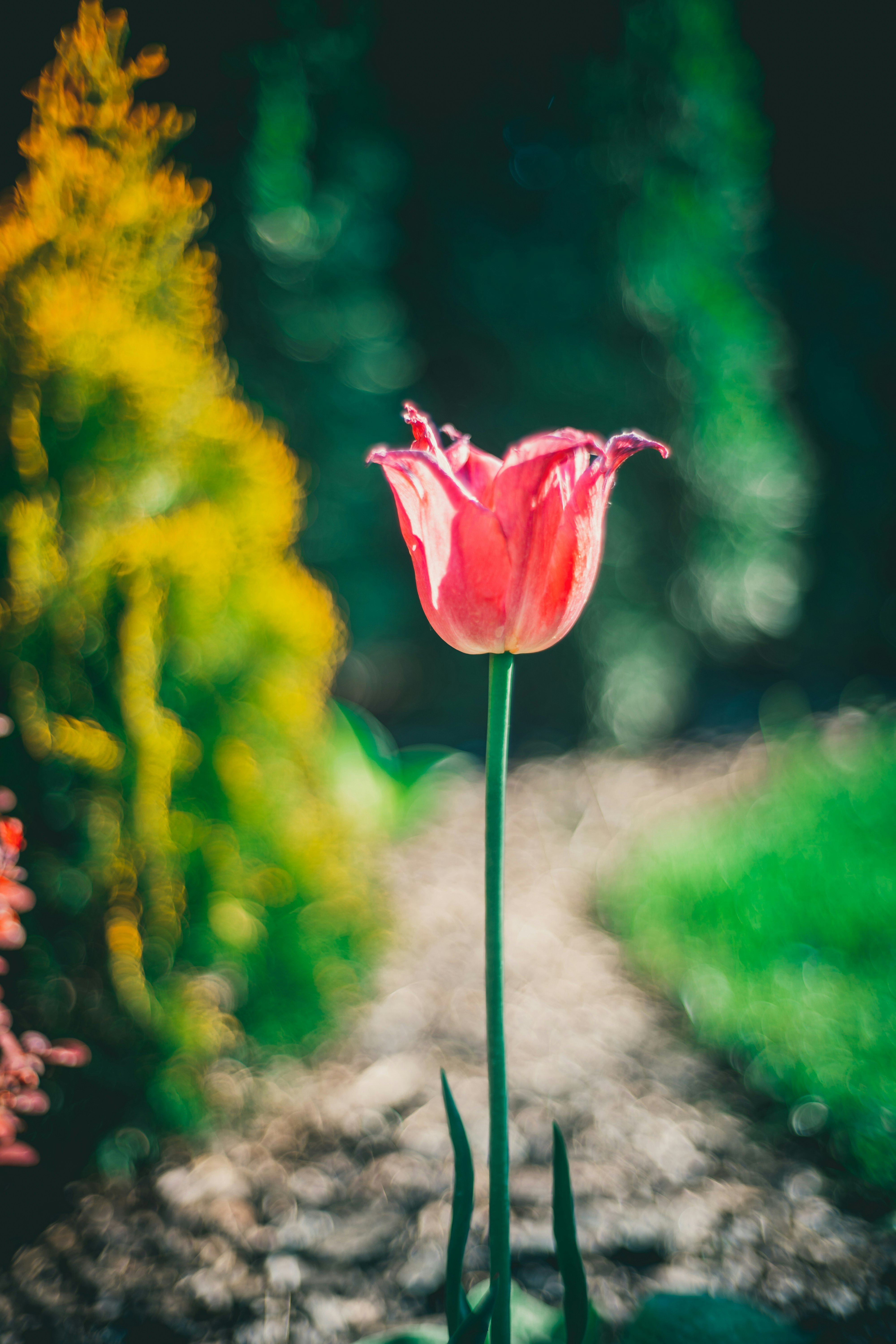 Photo by raimondklavins