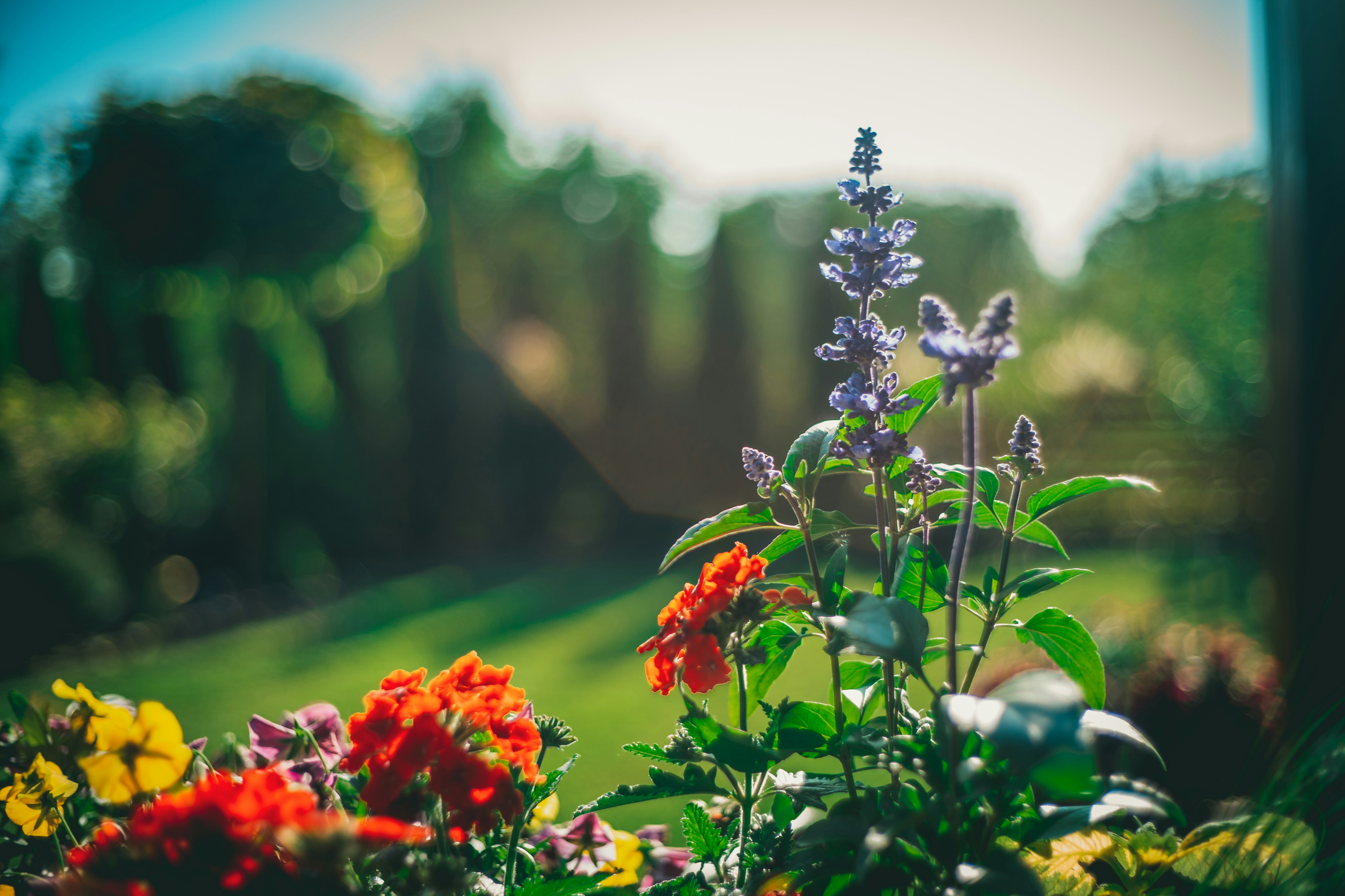 Photo by raimondklavins