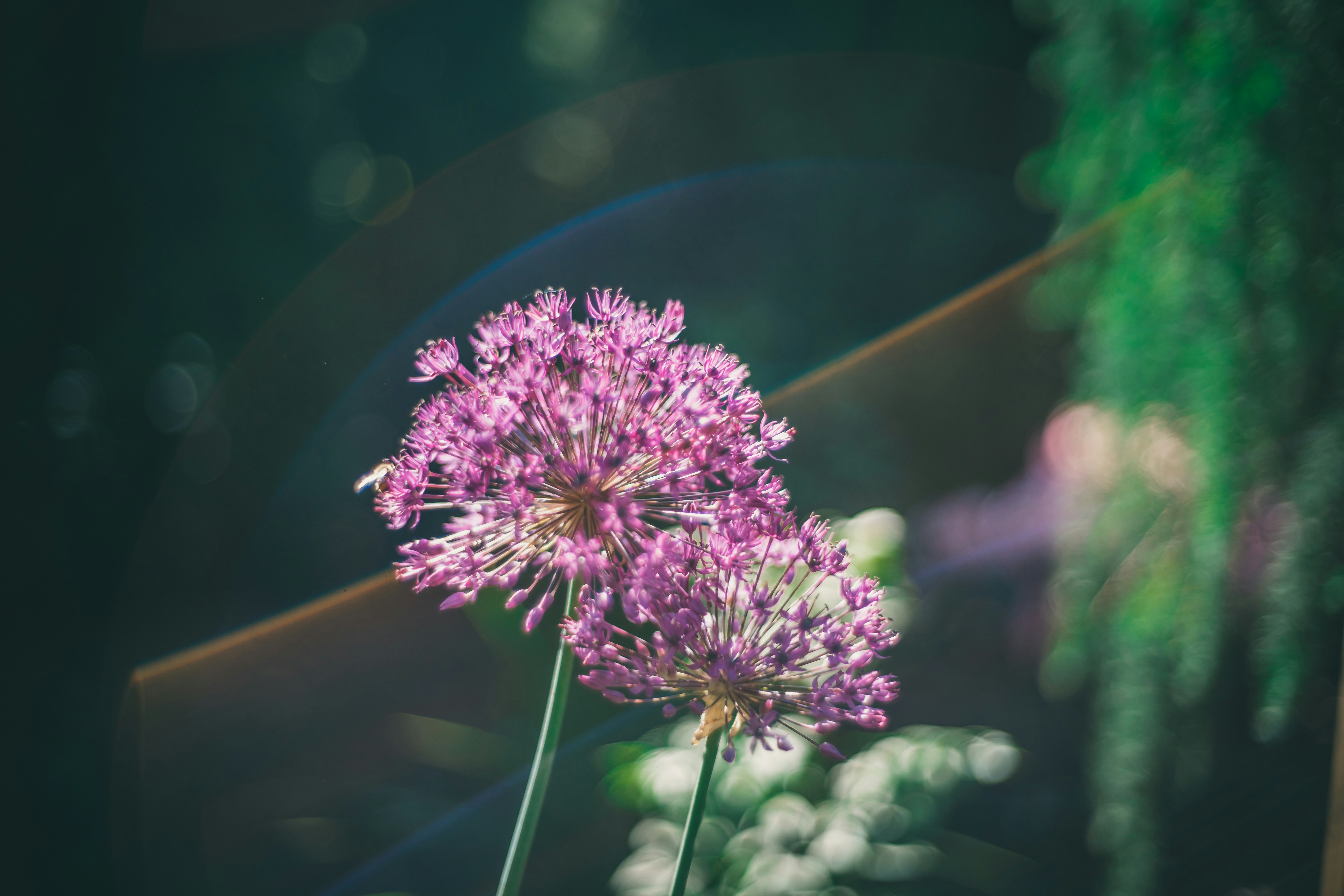 Photo by raimondklavins