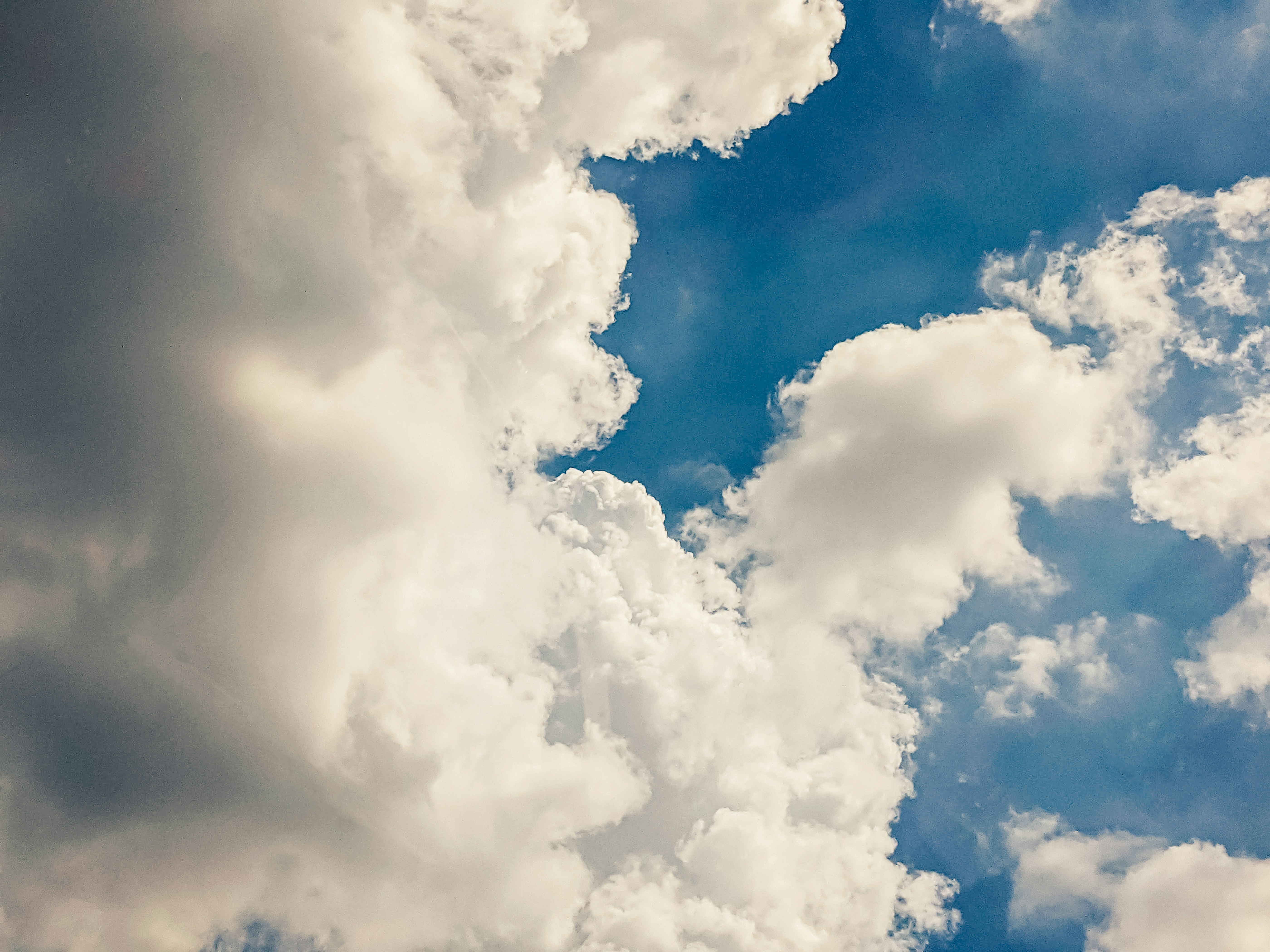 Photo by animgraphlab