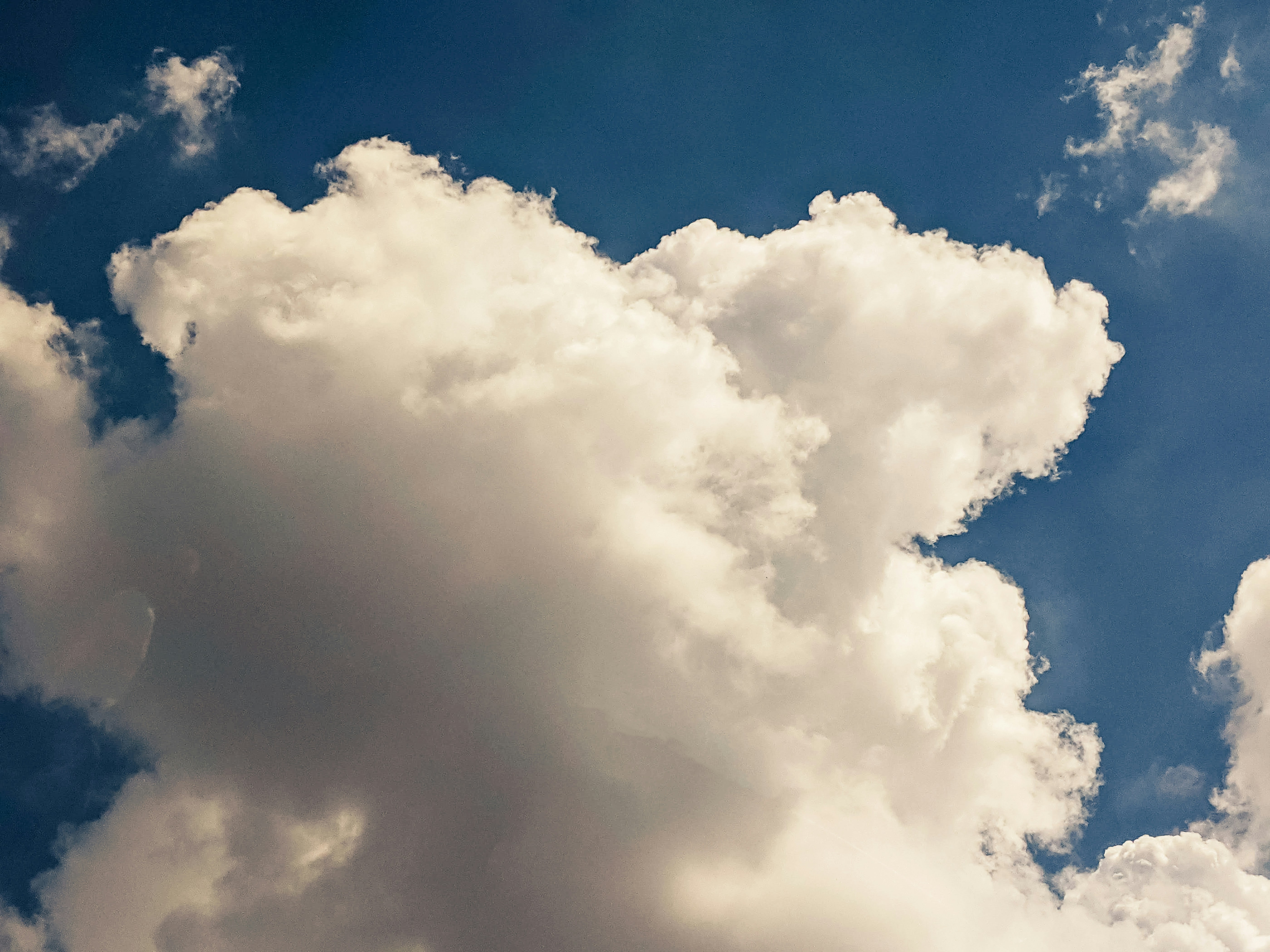 Photo by animgraphlab