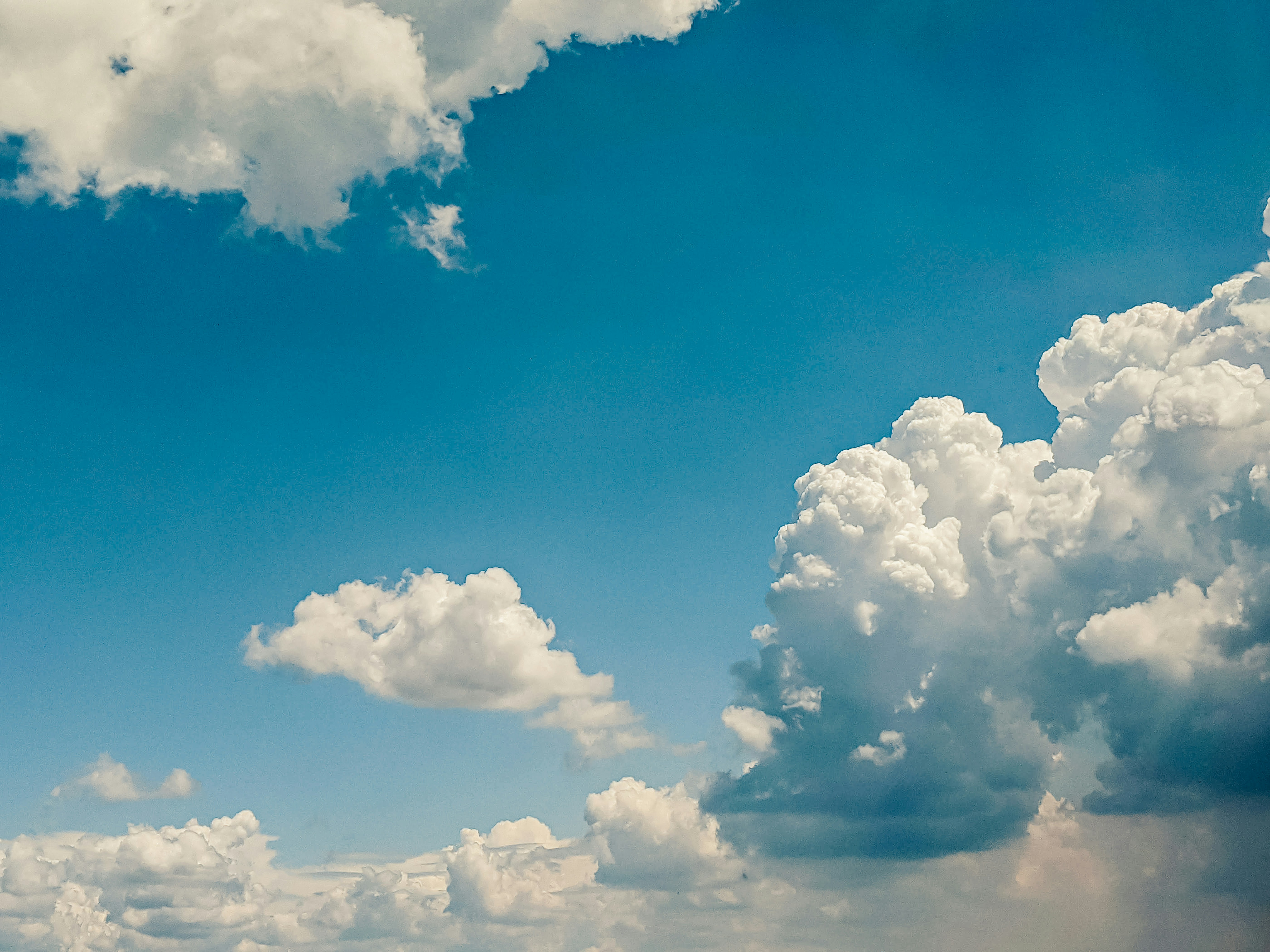 Photo by animgraphlab