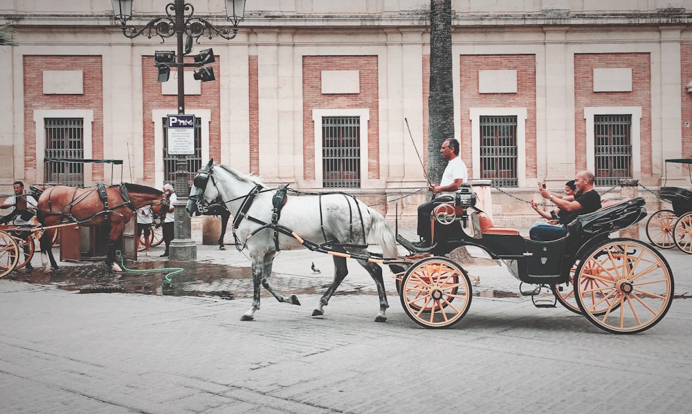 2 people riding on horse carriage during daytime