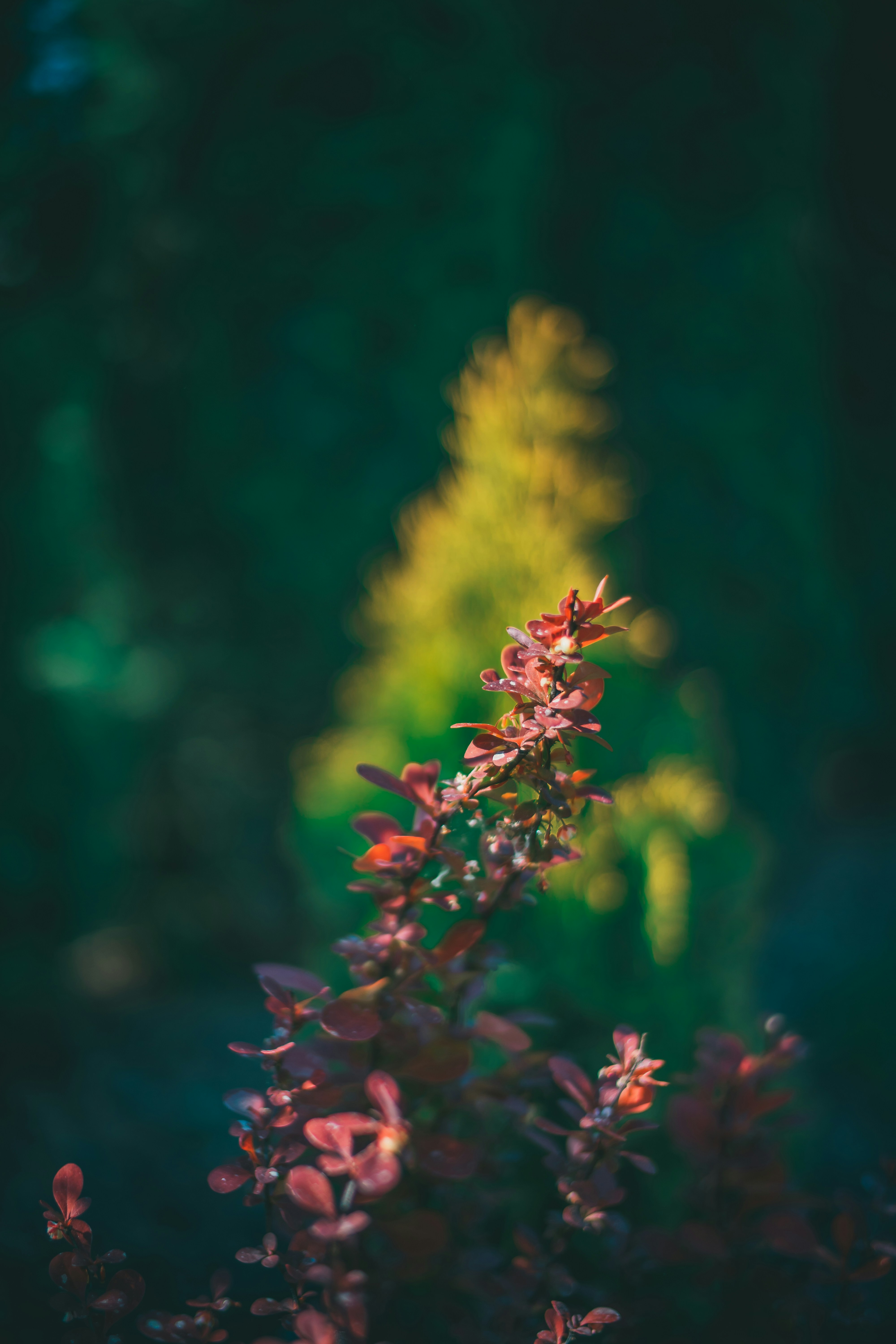 Photo by raimondklavins