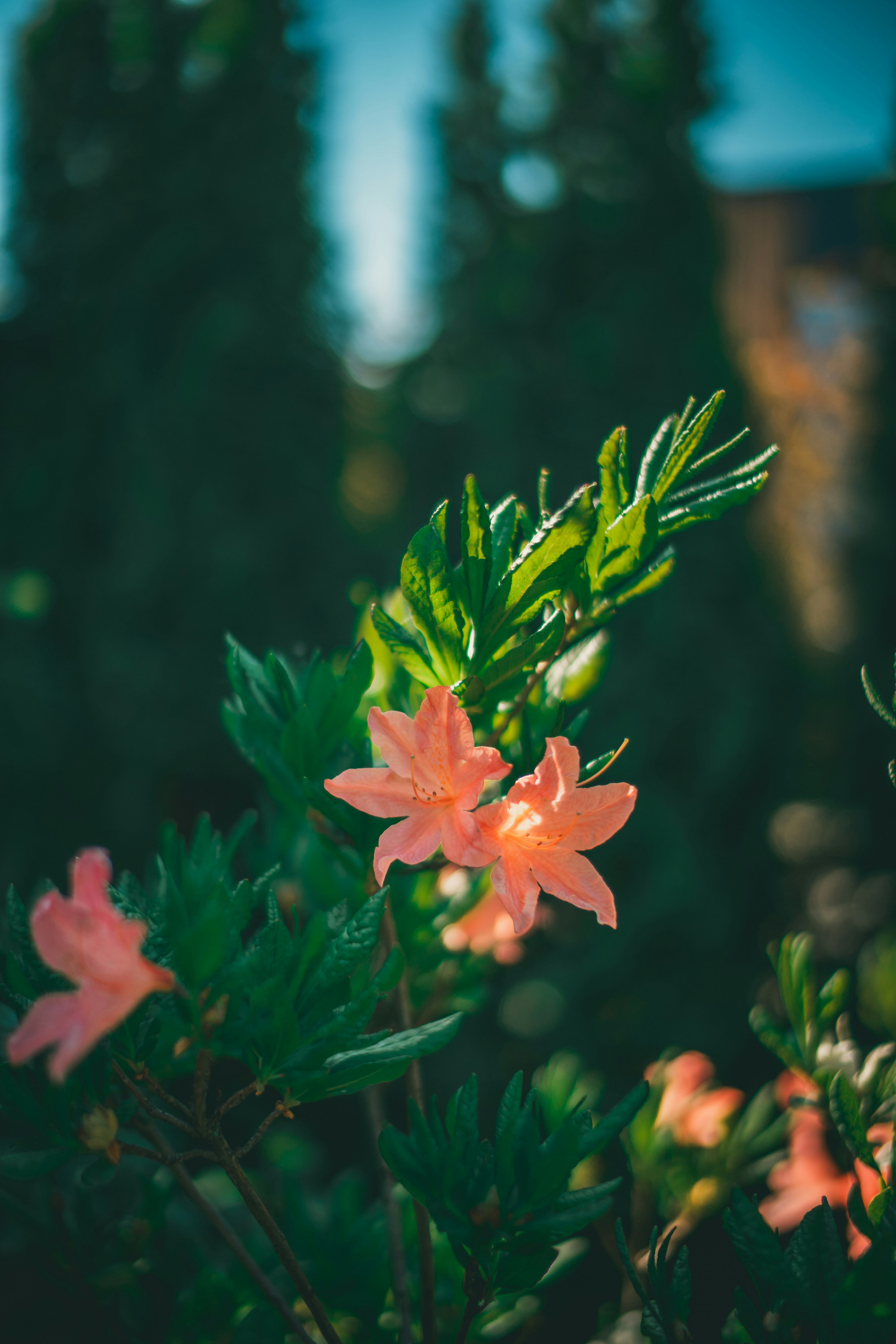 Photo by raimondklavins