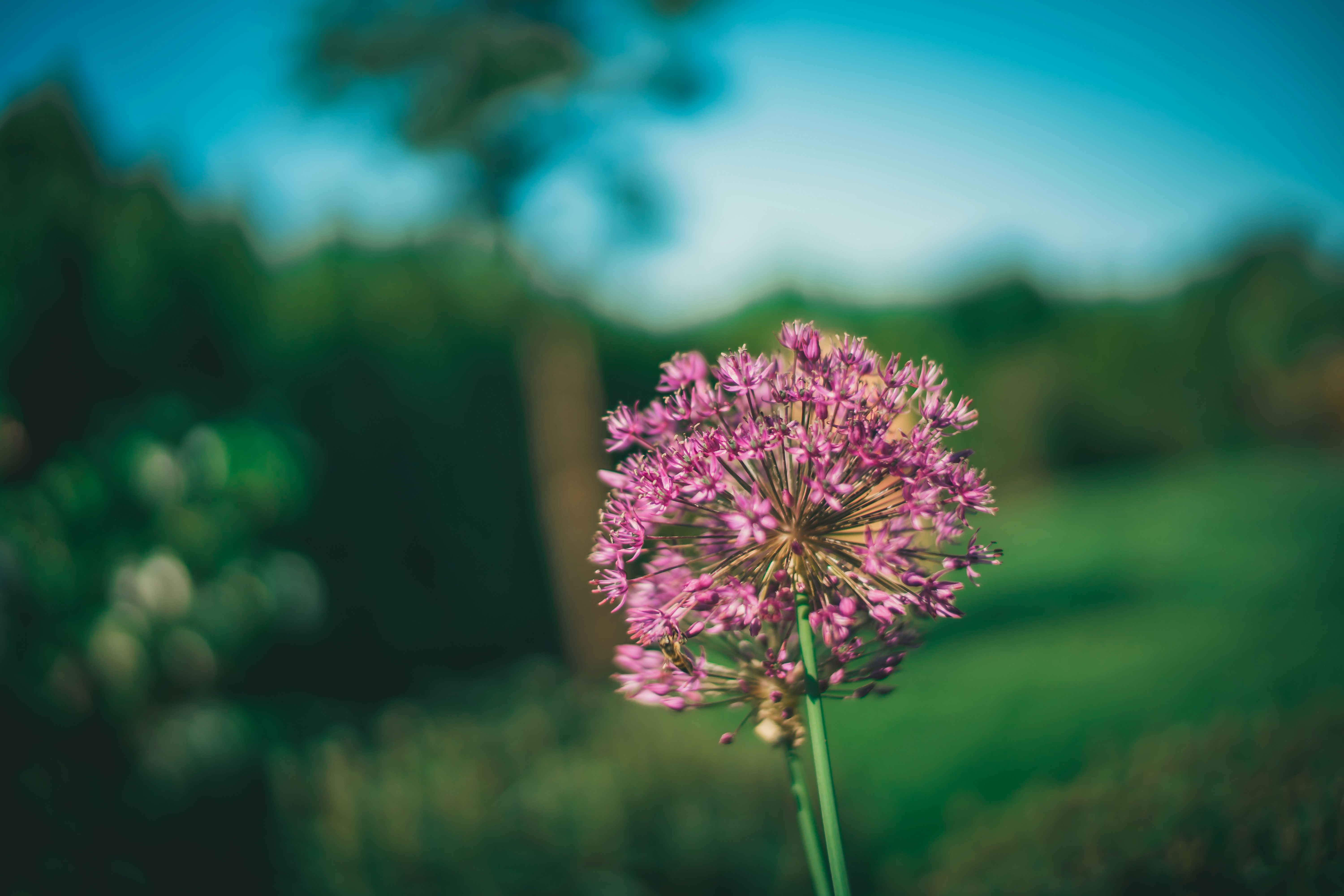 Photo by raimondklavins