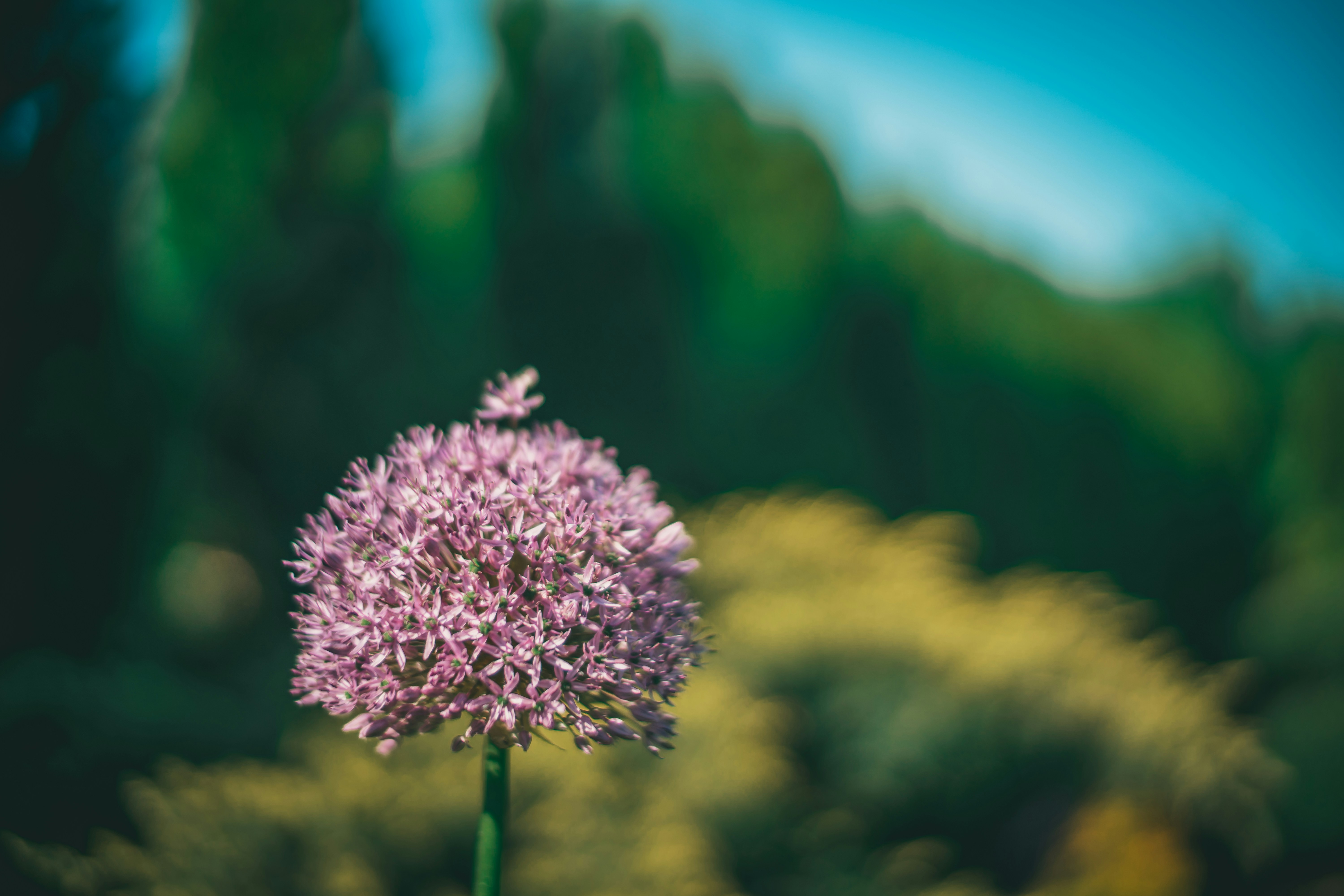 Photo by raimondklavins