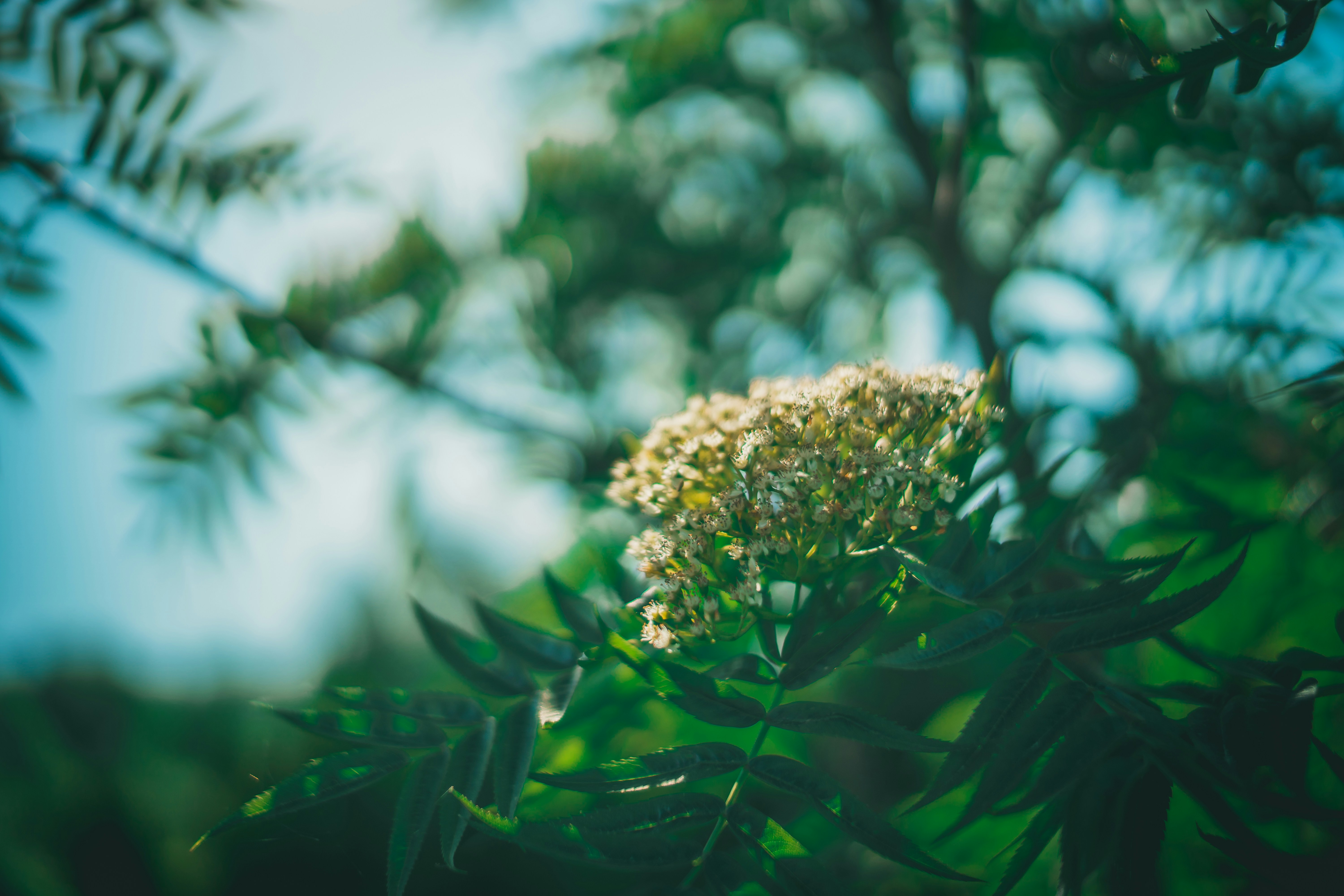 Photo by raimondklavins