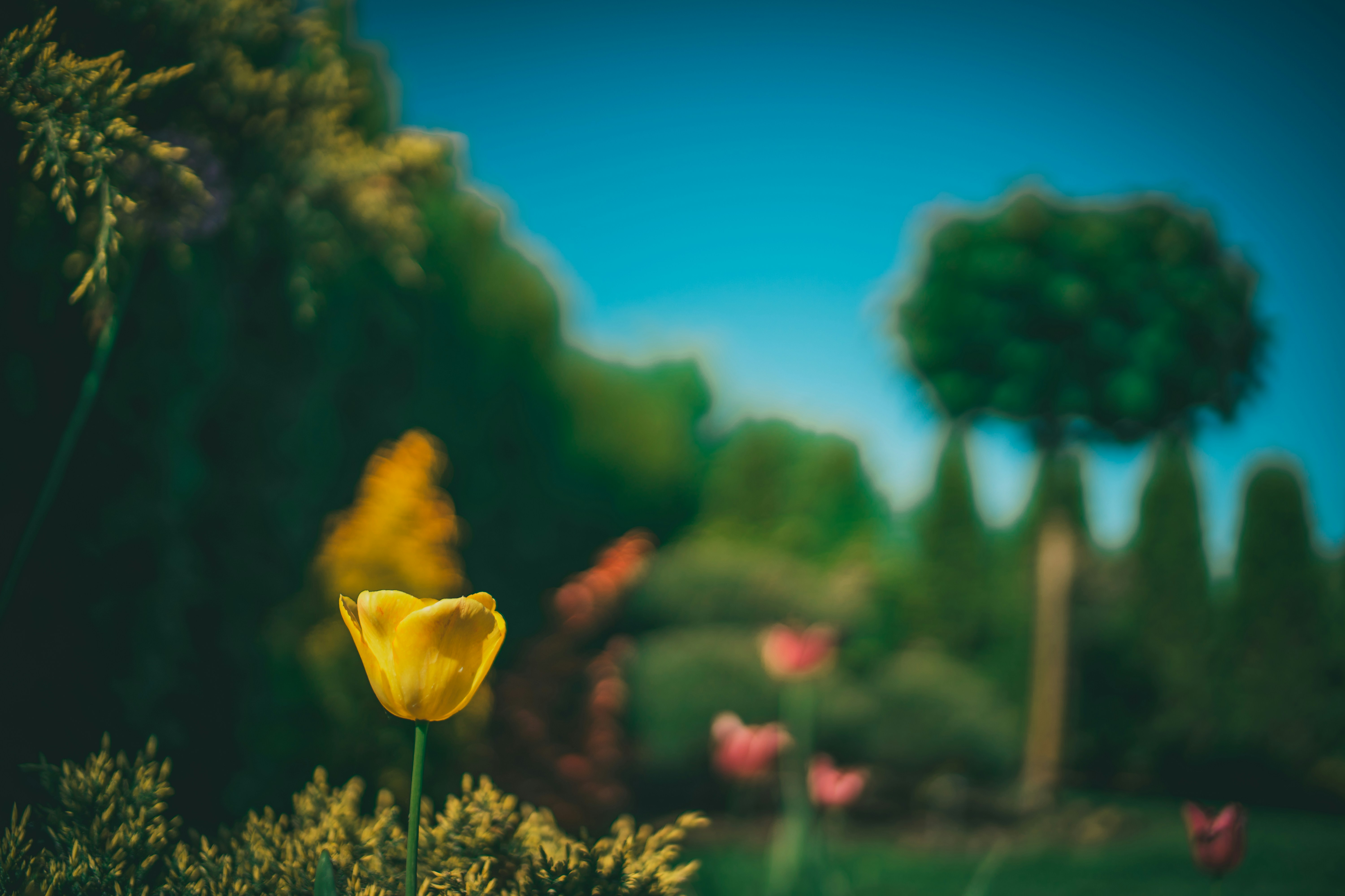 Photo by raimondklavins