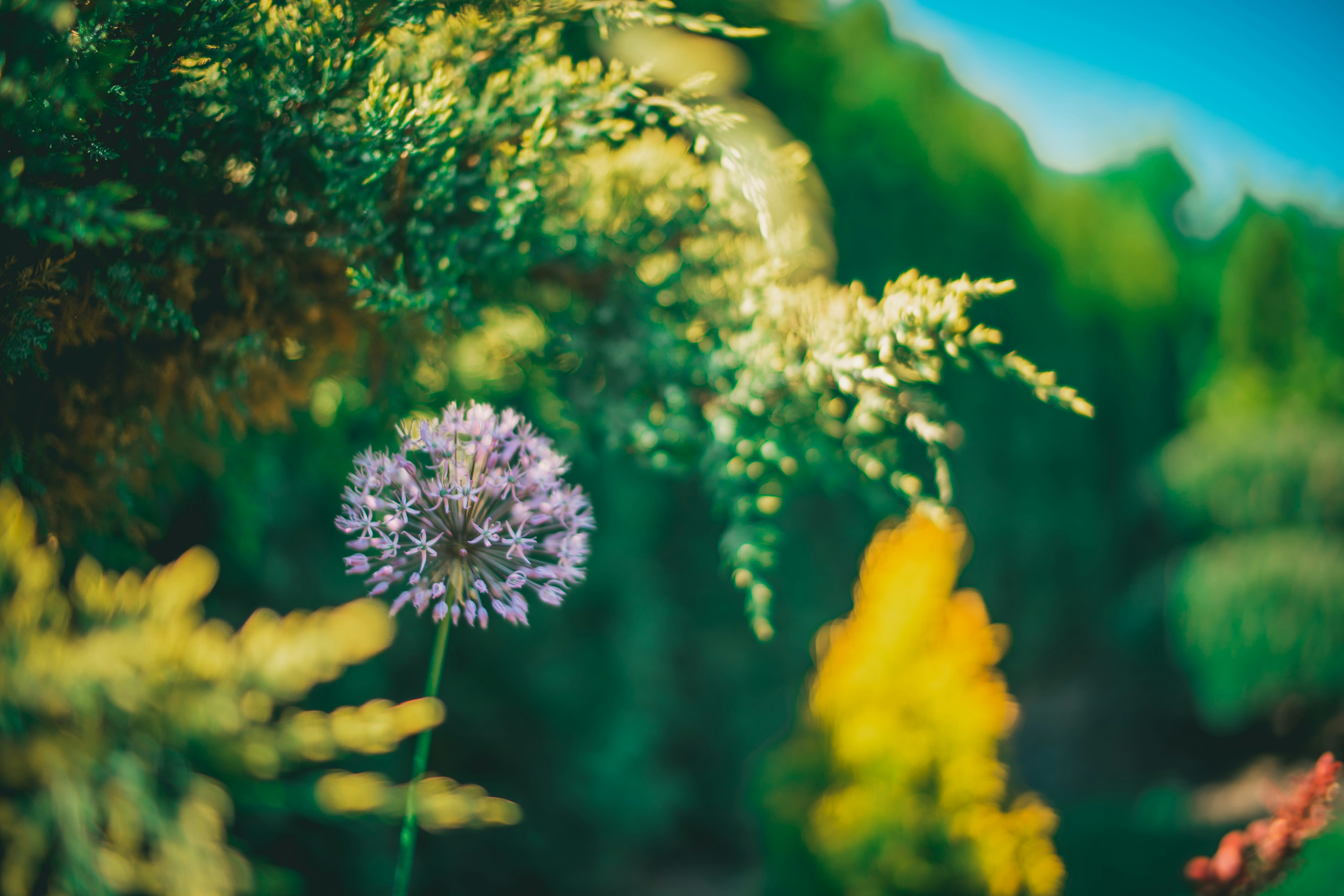 Photo by raimondklavins