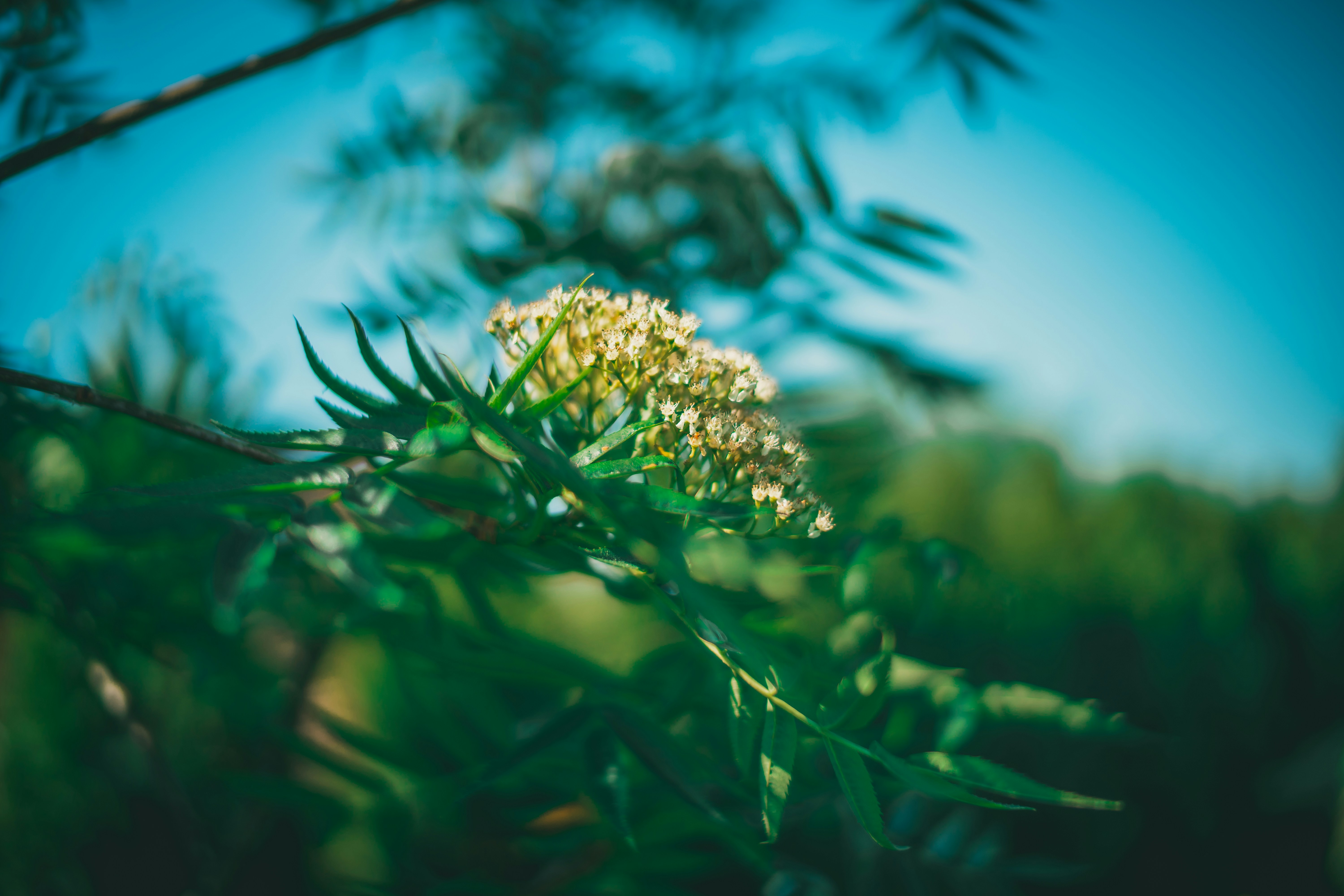 Photo by raimondklavins