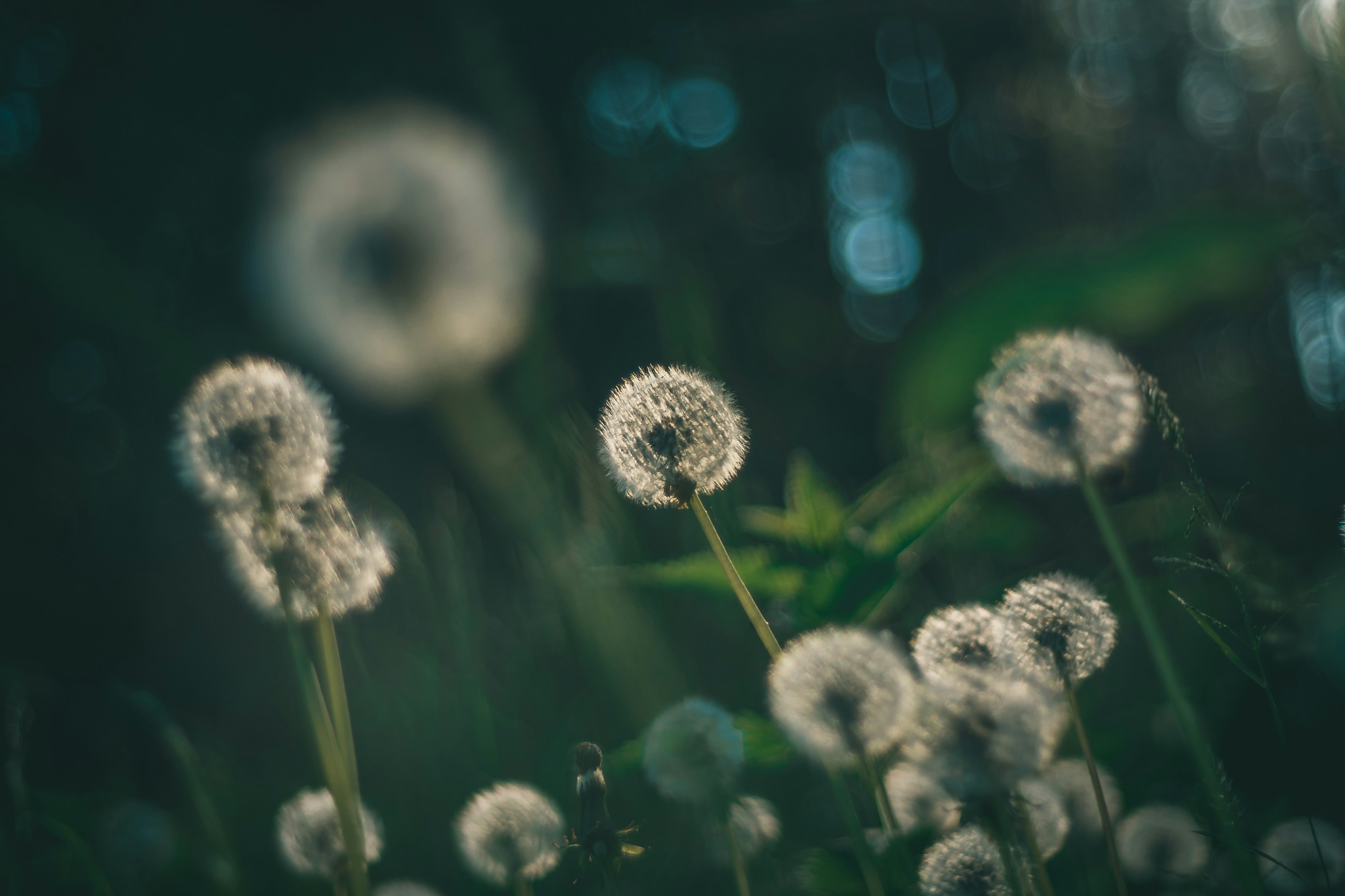 Photo by raimondklavins