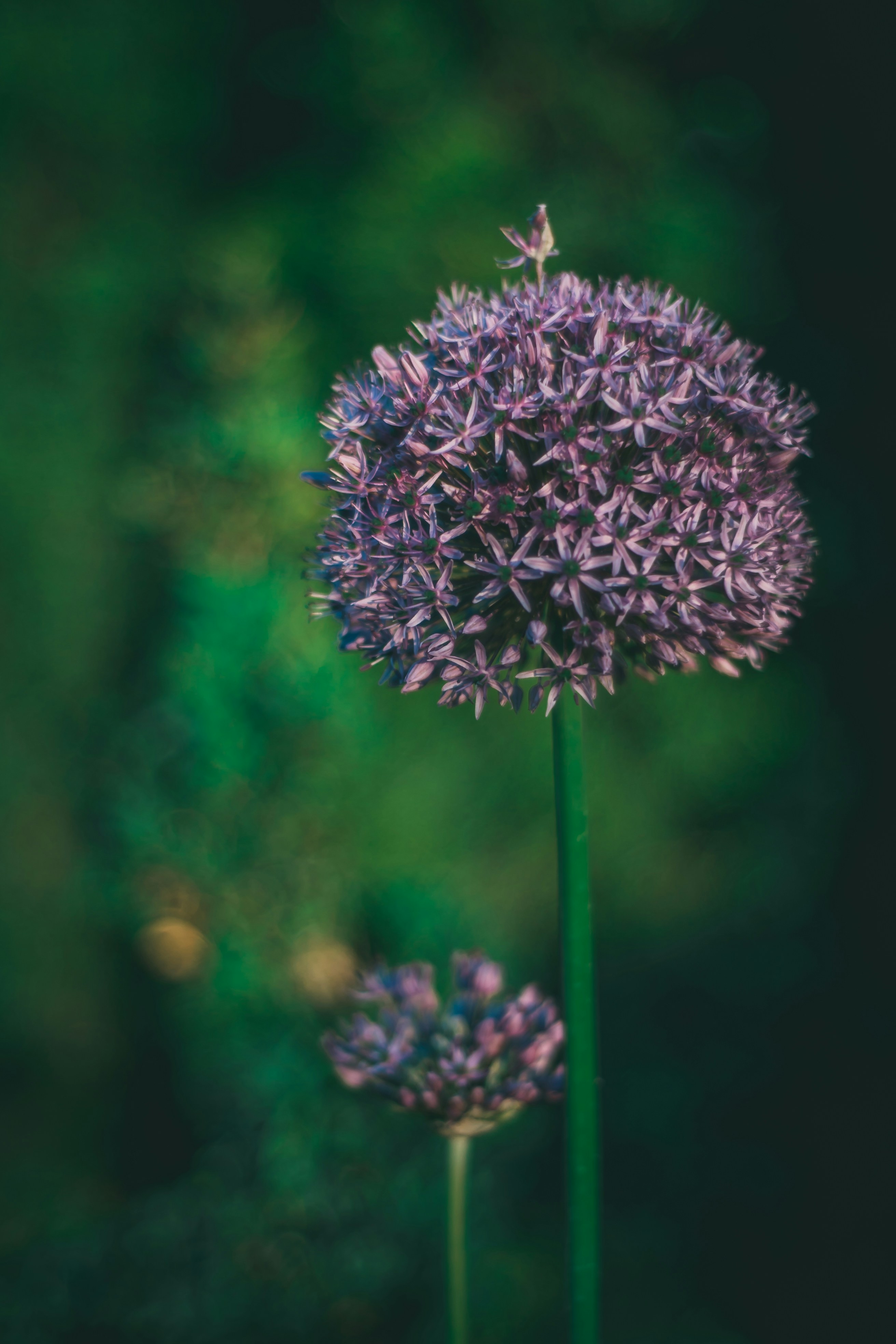 Photo by raimondklavins