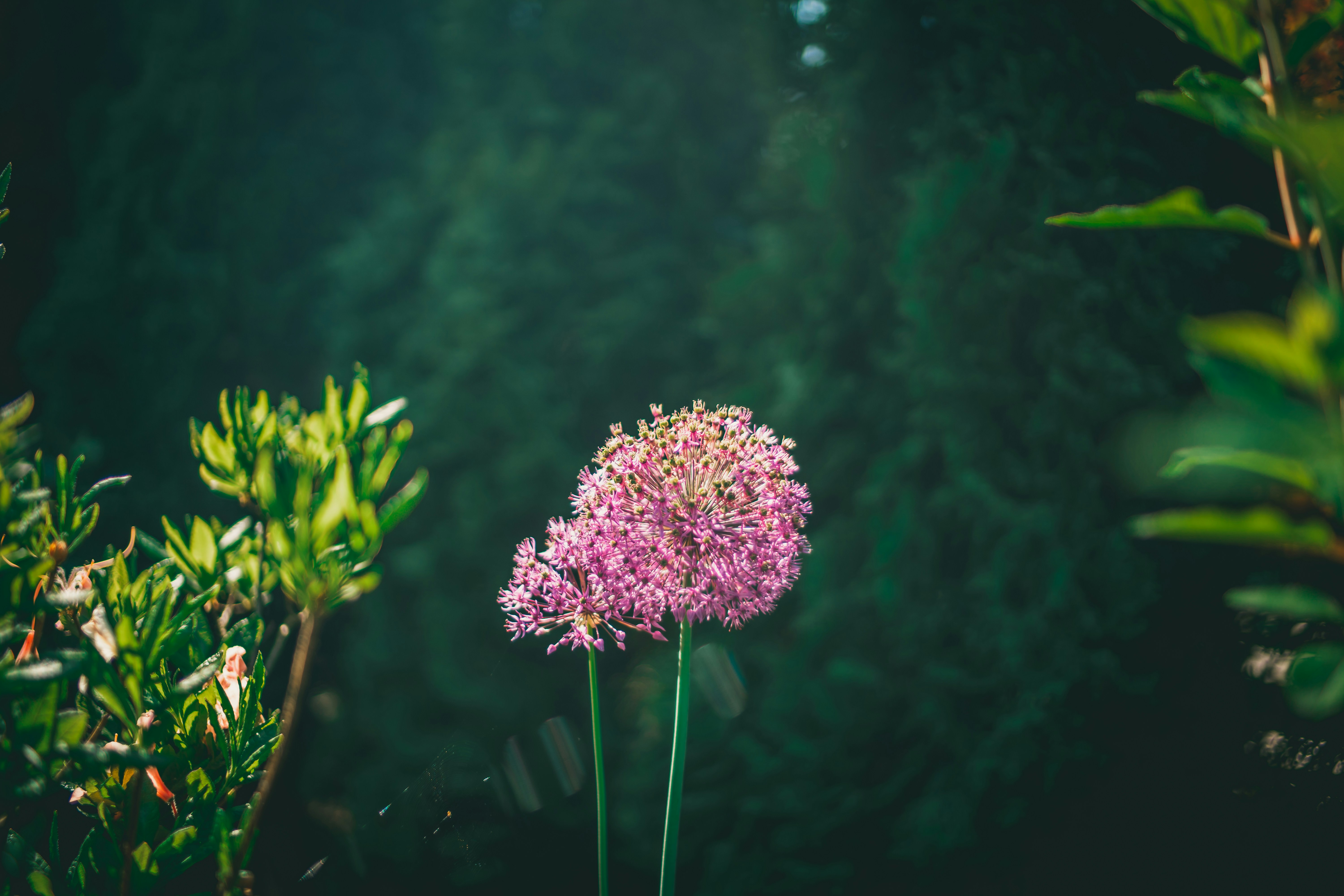 Photo by raimondklavins