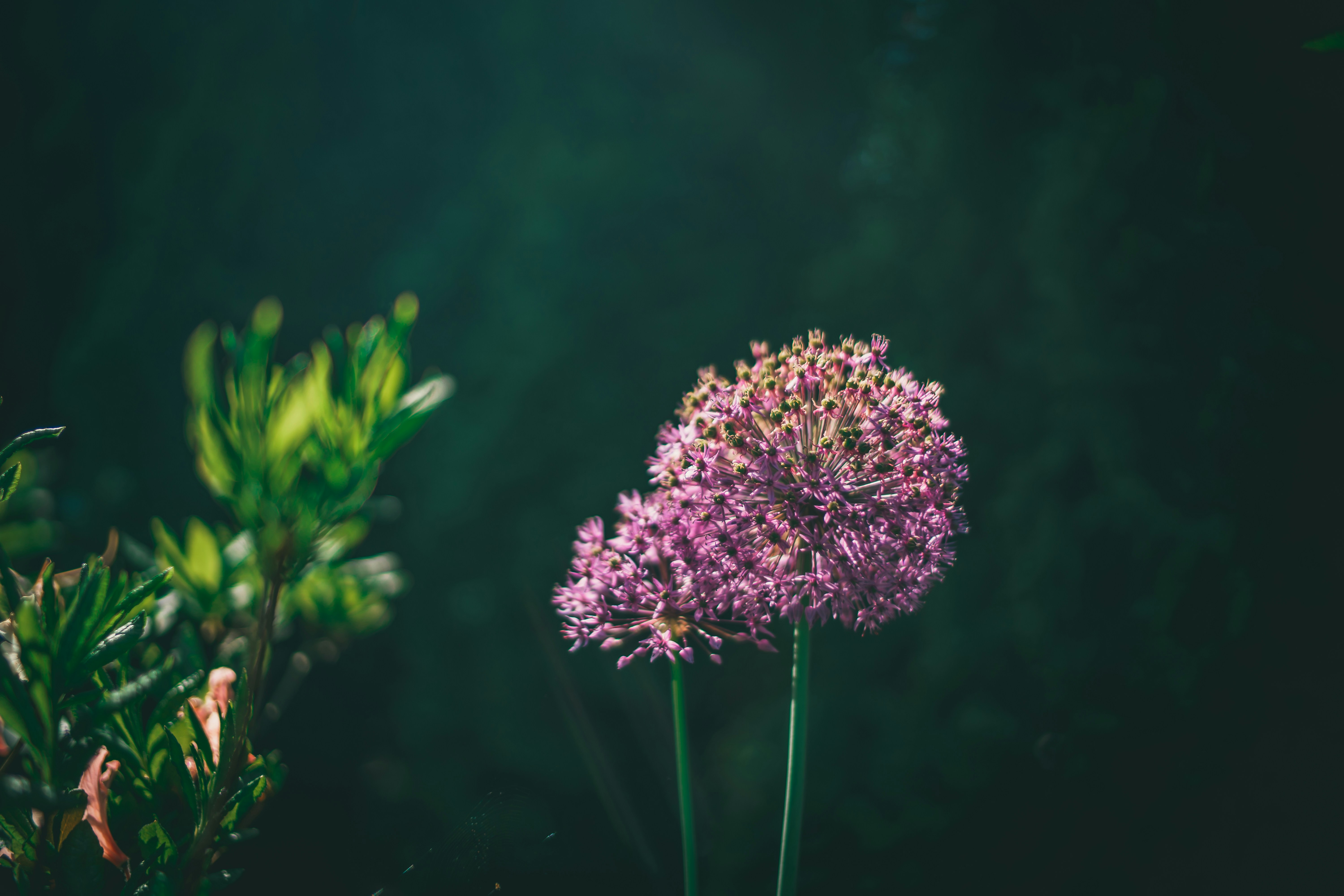 Photo by raimondklavins