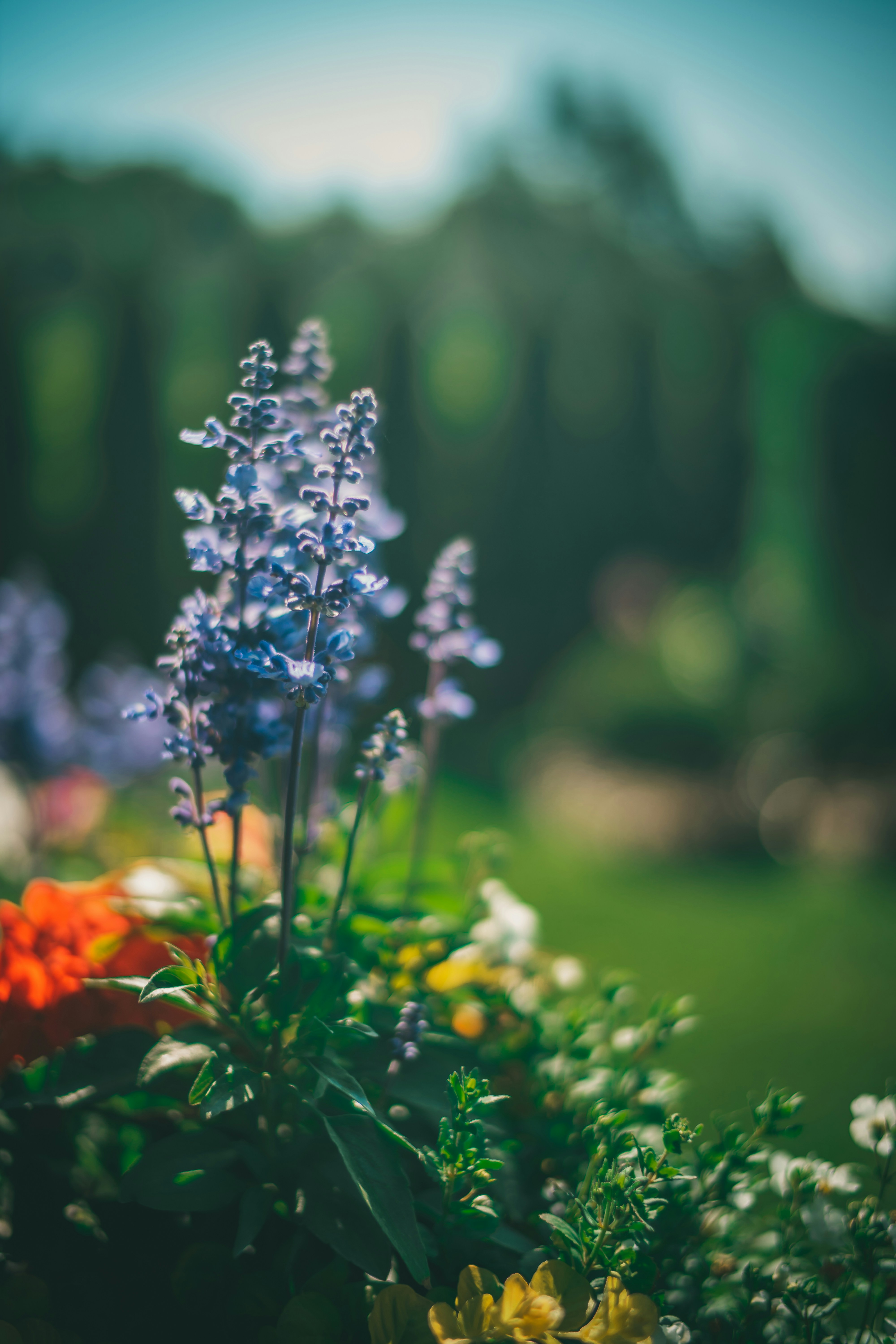 Photo by raimondklavins