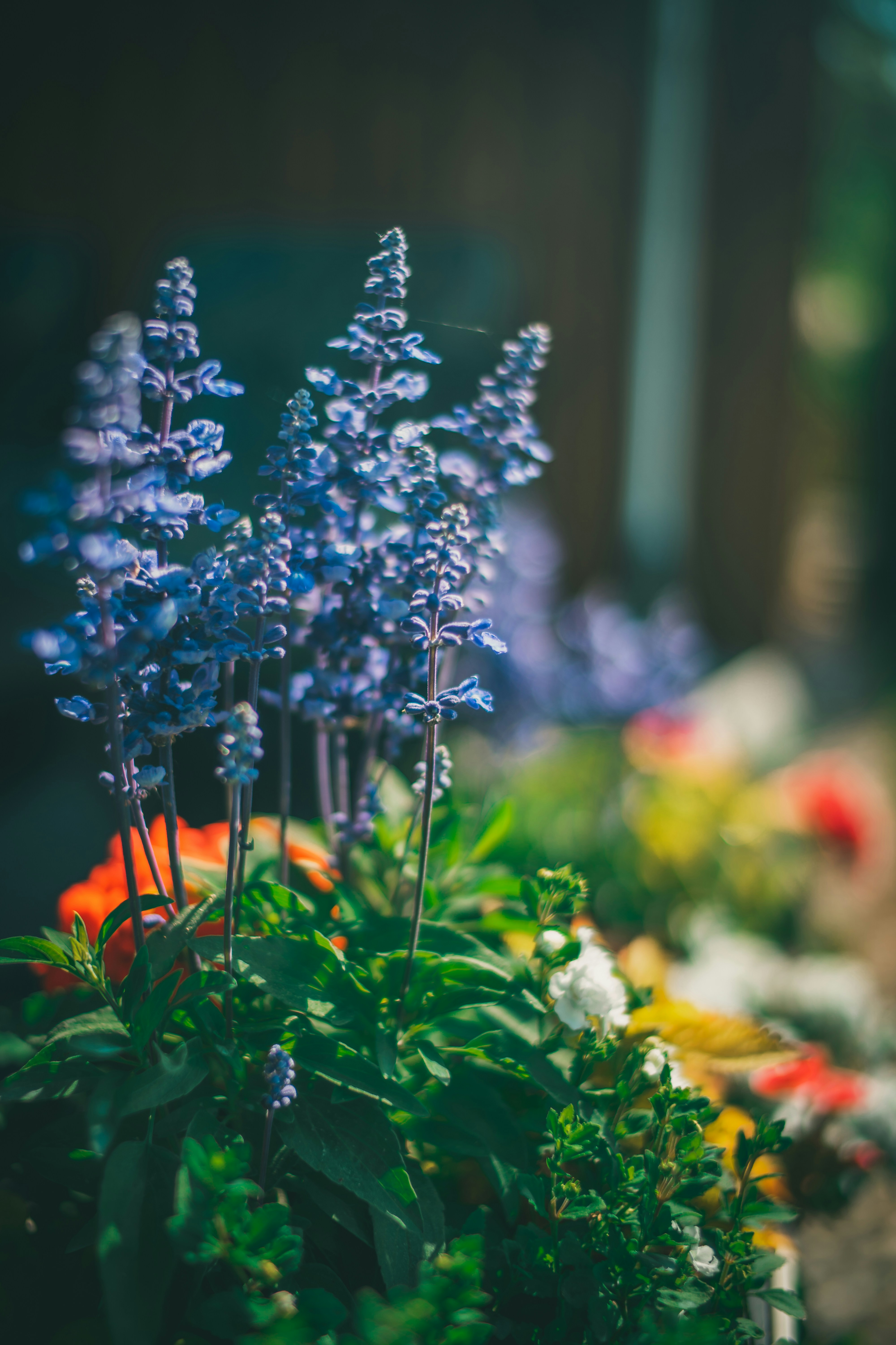 Photo by raimondklavins