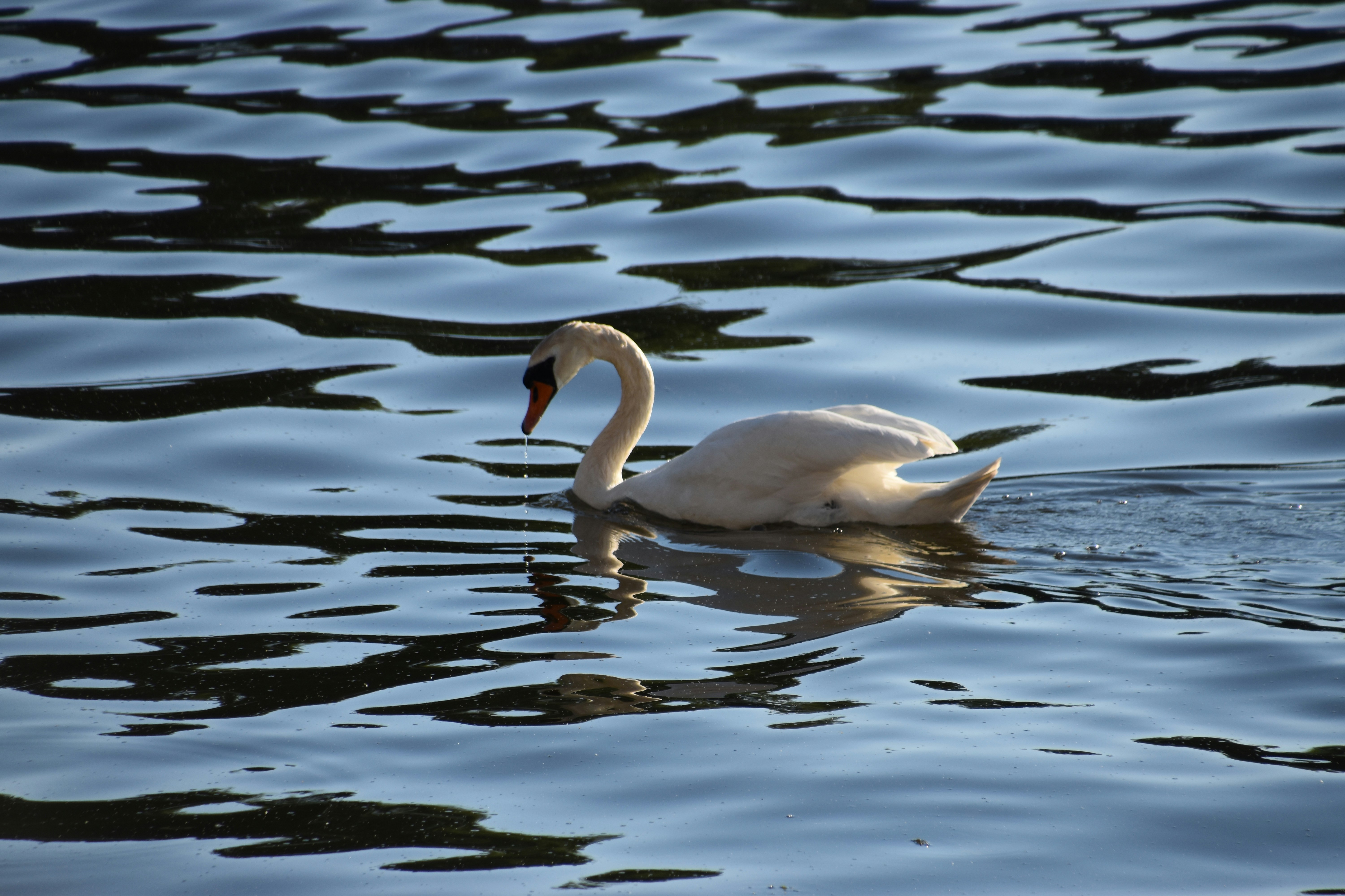 Photo by andras_ratonyi