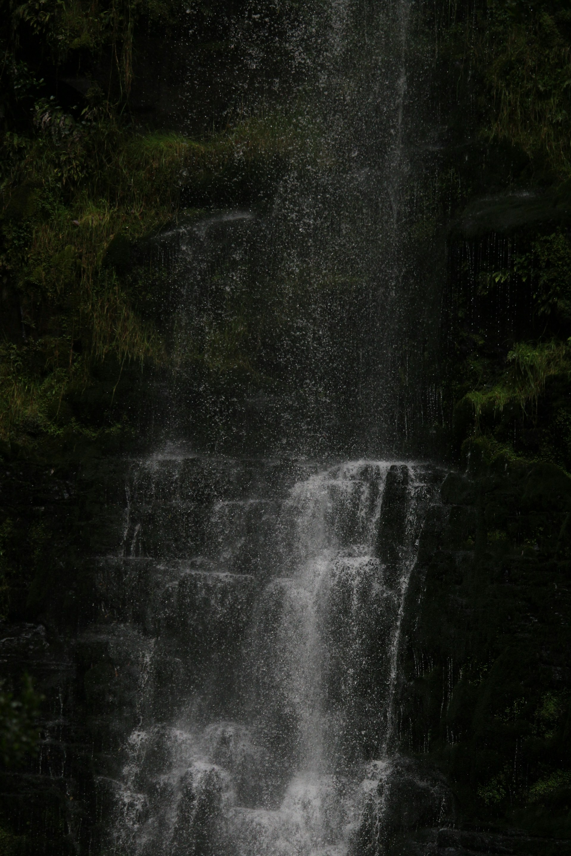 water falls in the forest