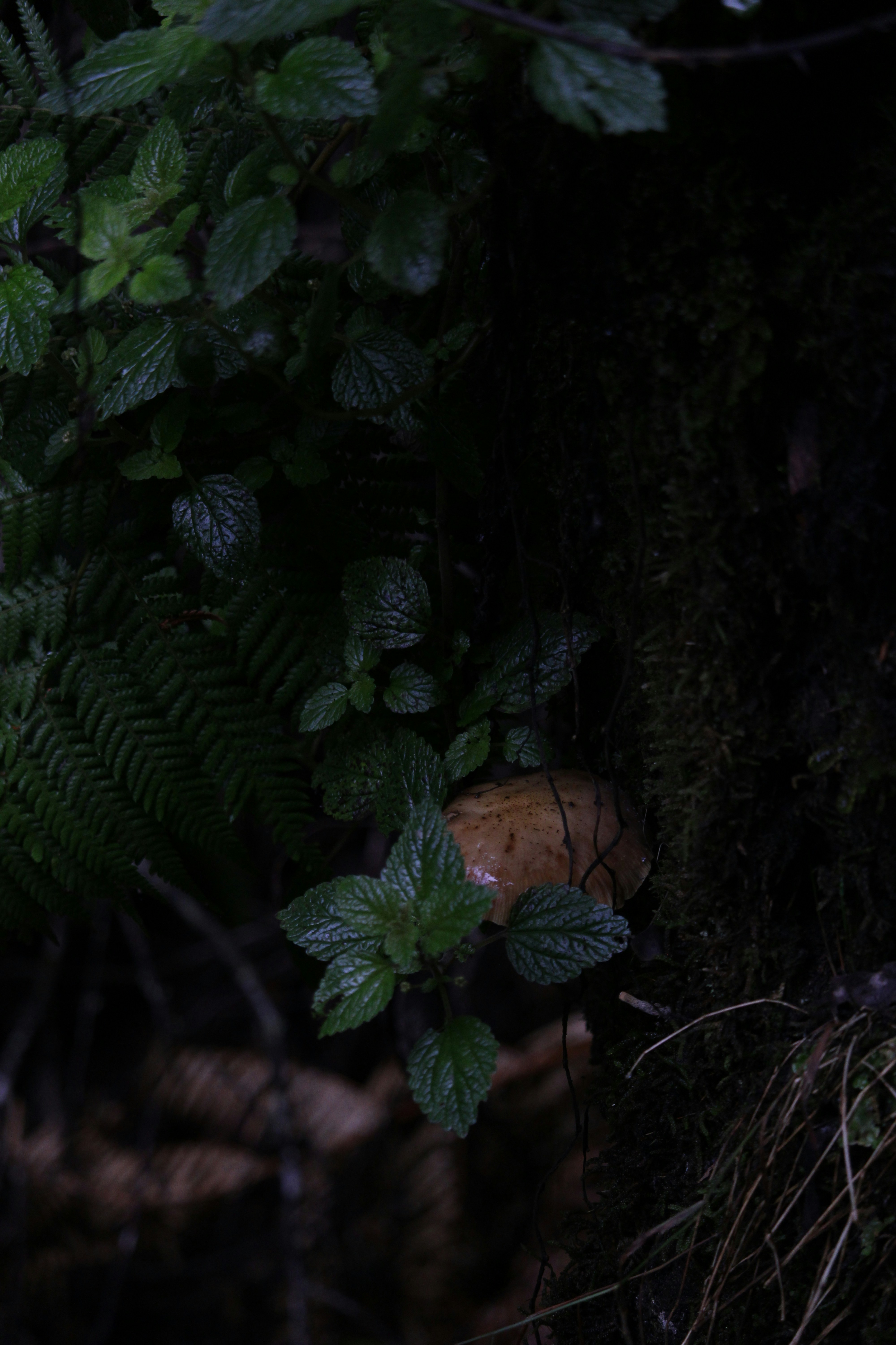 Photo by _sfletcher_