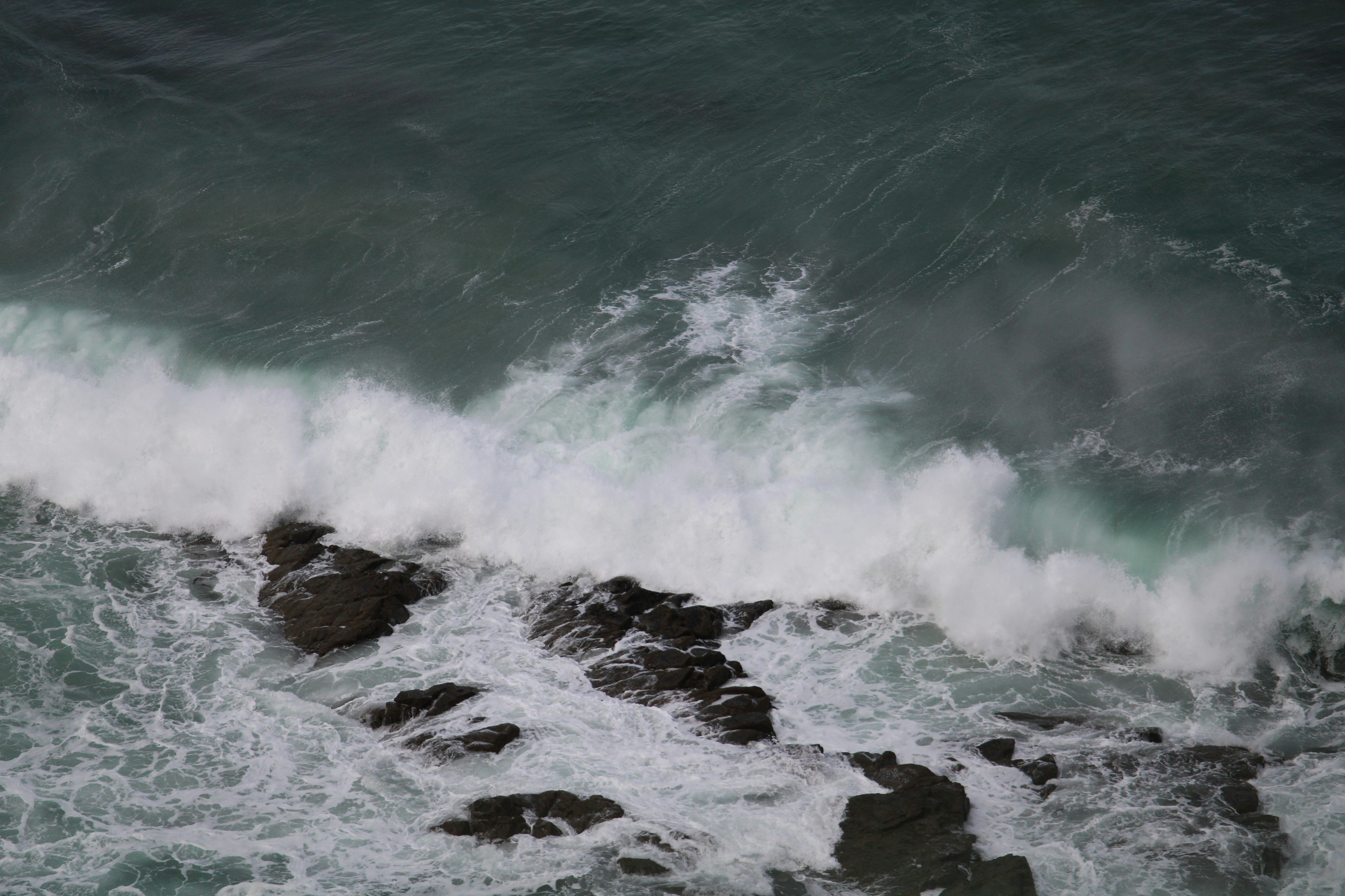 Photo by _sfletcher_