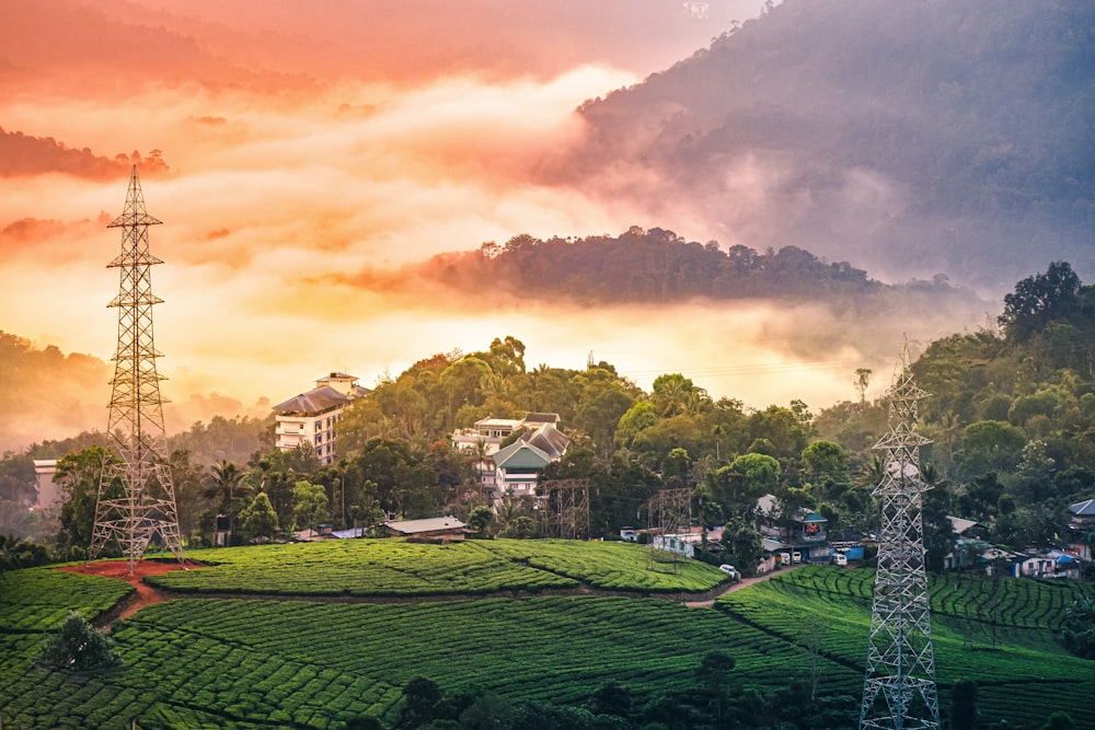 a scenic view of a tea estate in the mountains