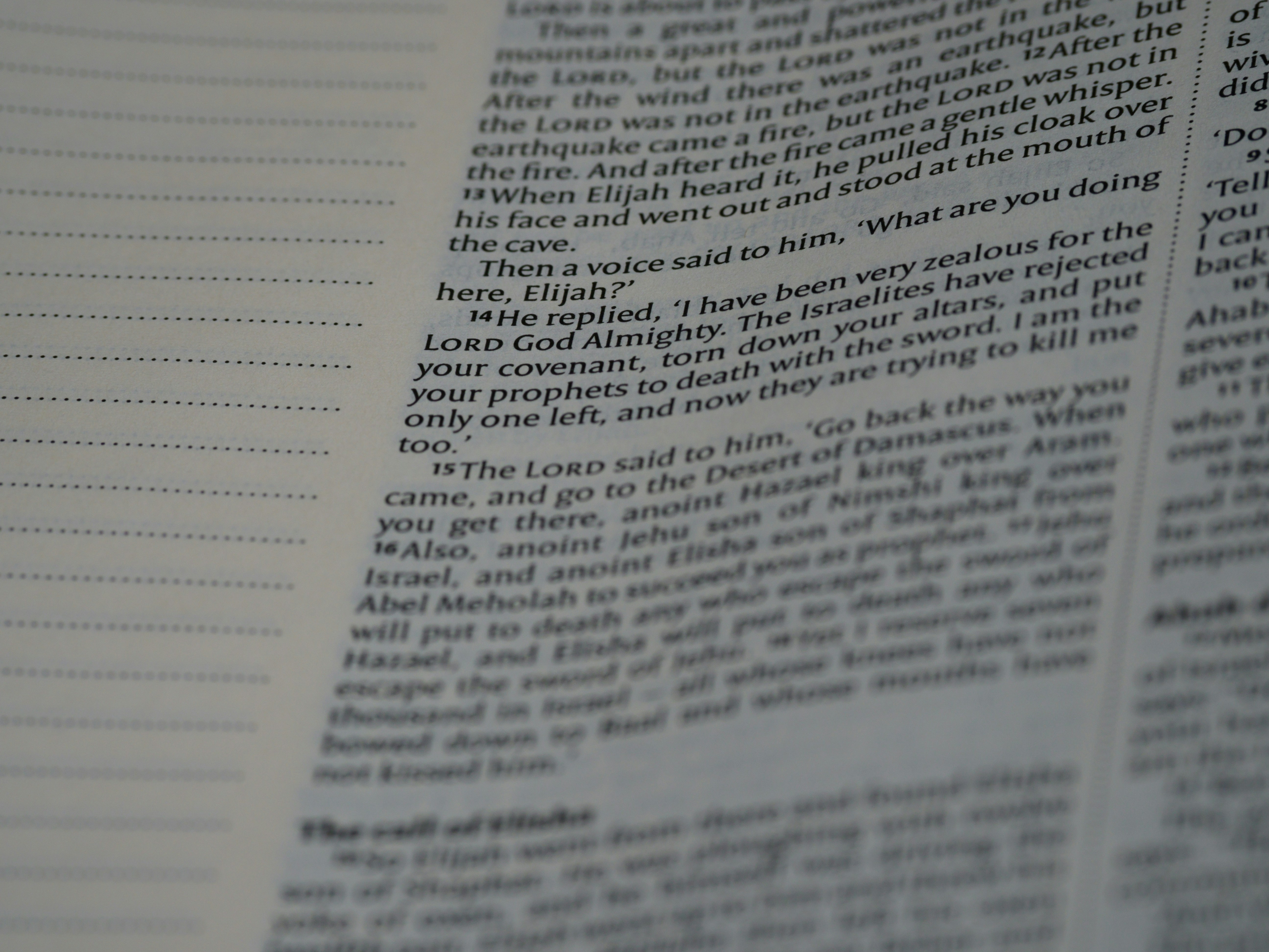 Photo by brett_jordan