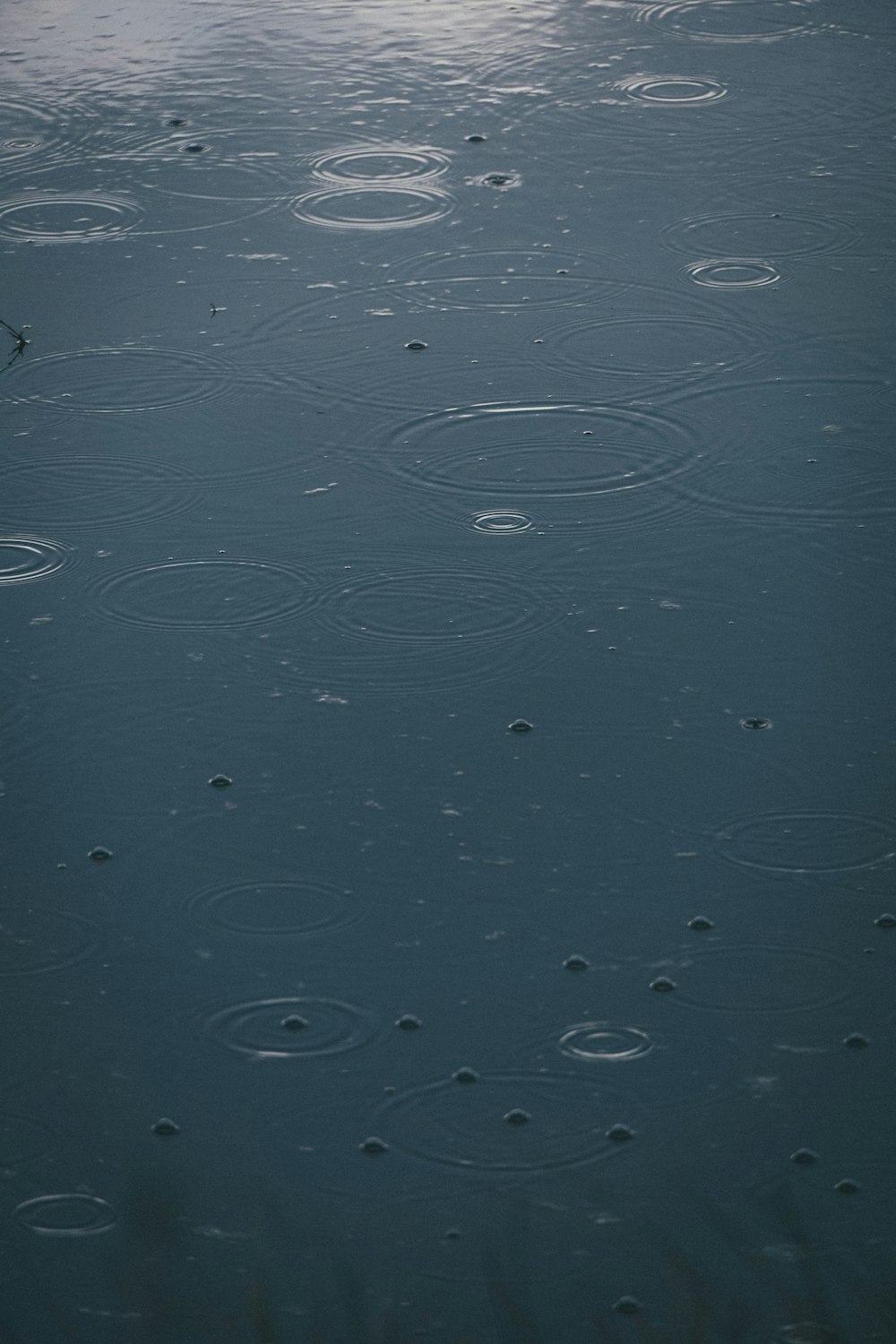 gocce di pioggia sulla superficie di uno specchio d'acqua