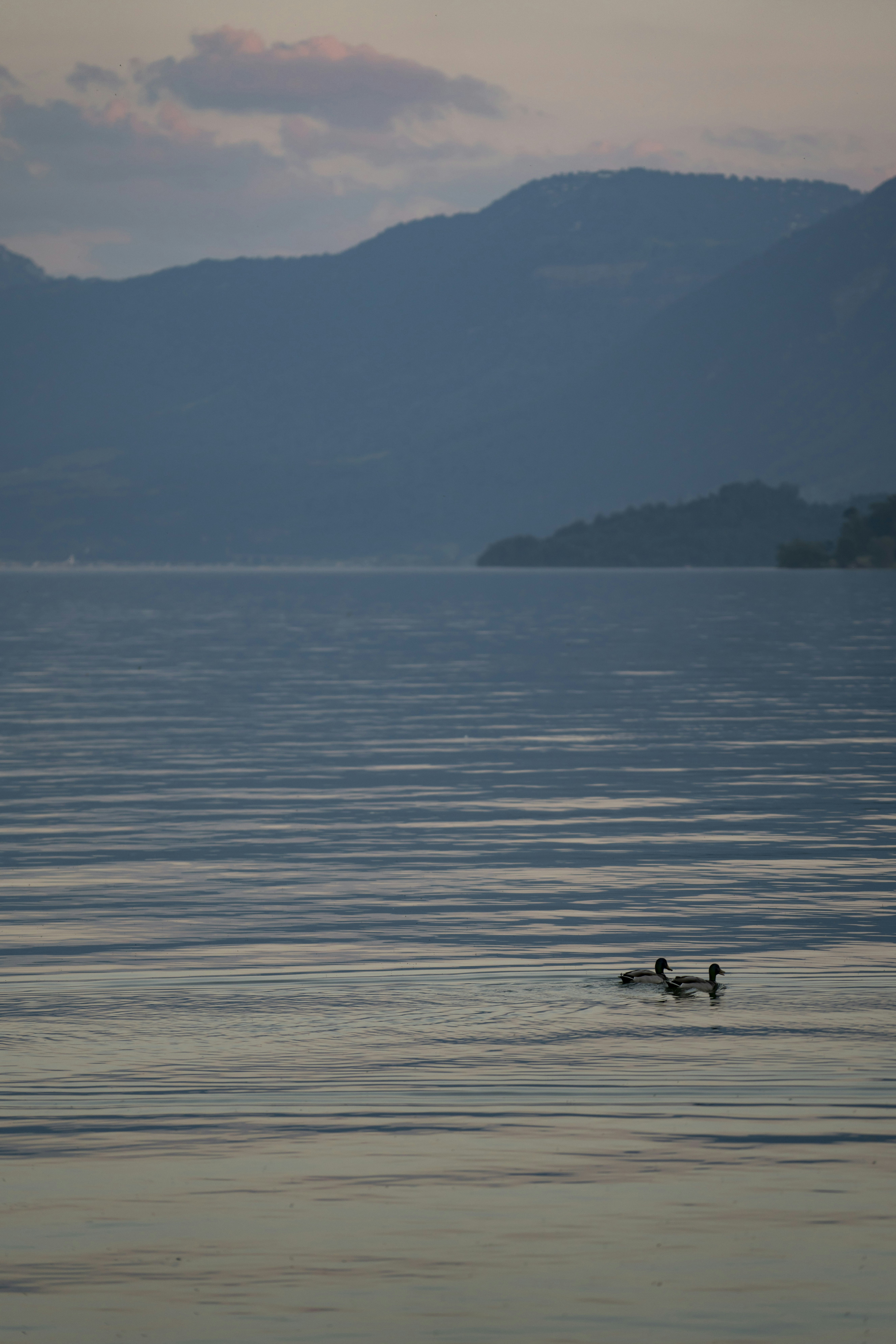 Photo by opohmelka