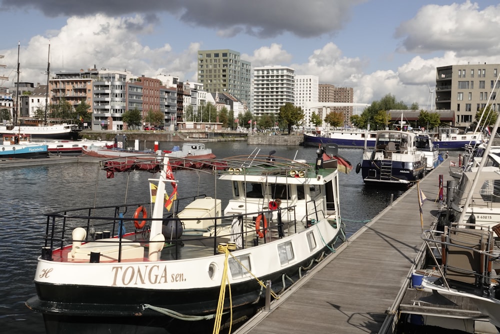 white and black boat on dock during daytime