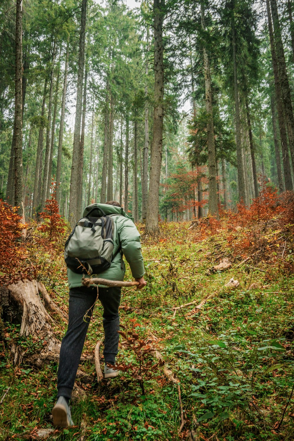 man in green jacket and blue denim jeans standing on brown tree log in forest during