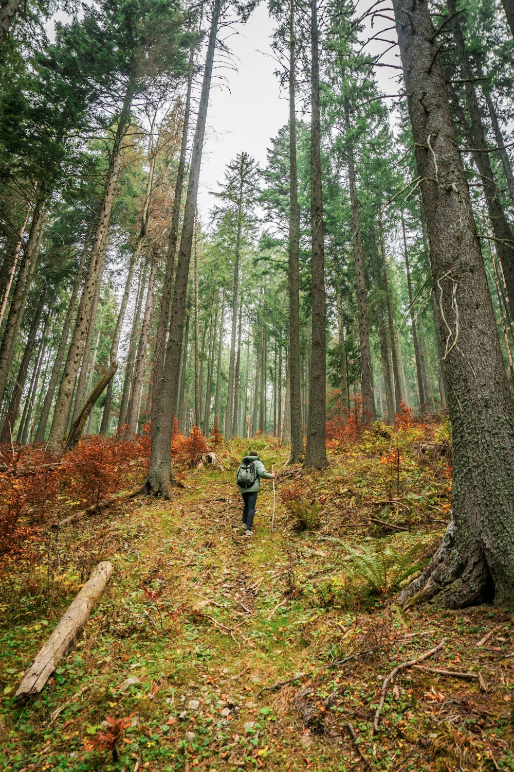 Hombre en chaqueta negra y pantalones negros caminando en el bosque durante el día