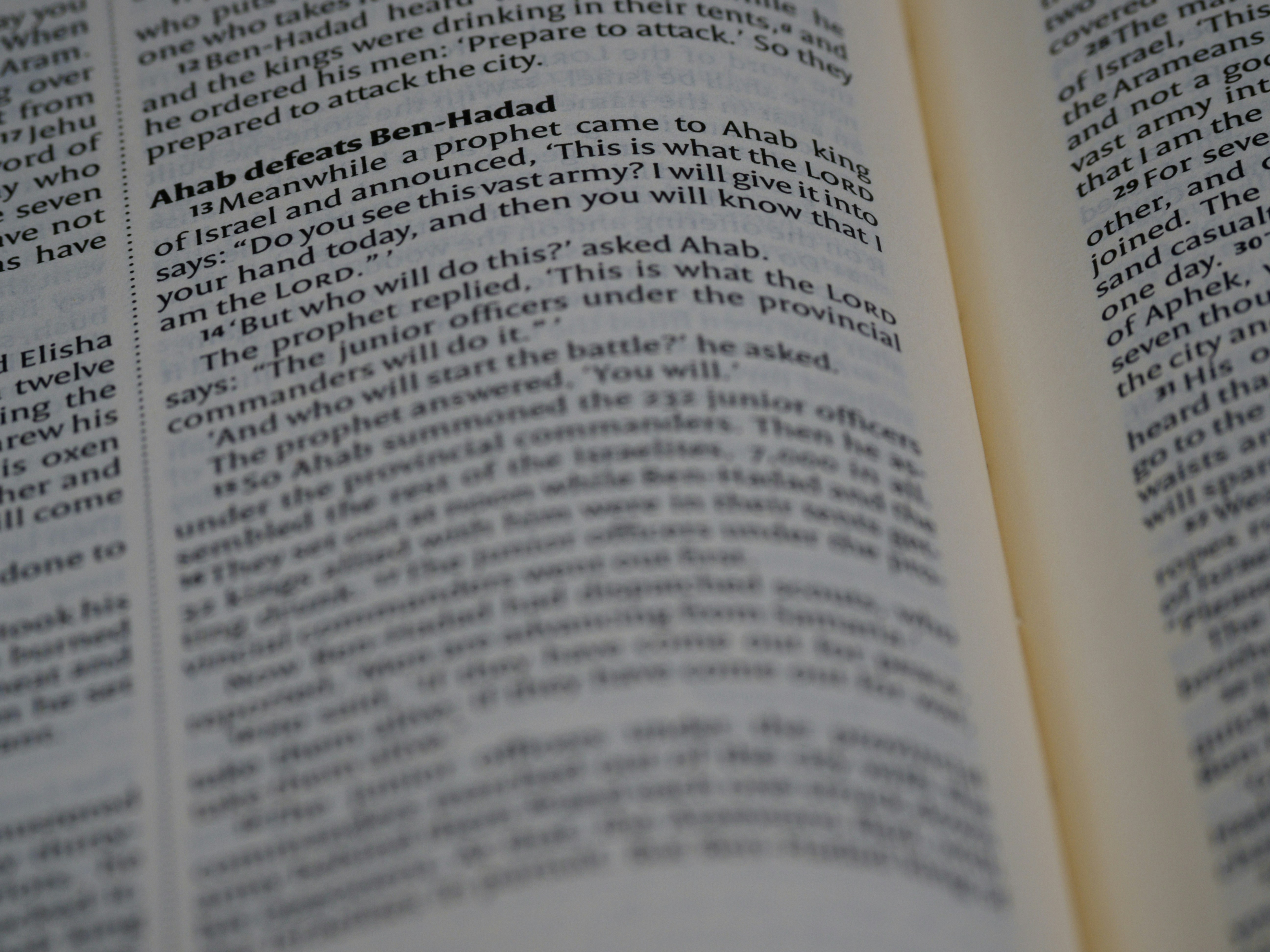 Photo by brett_jordan