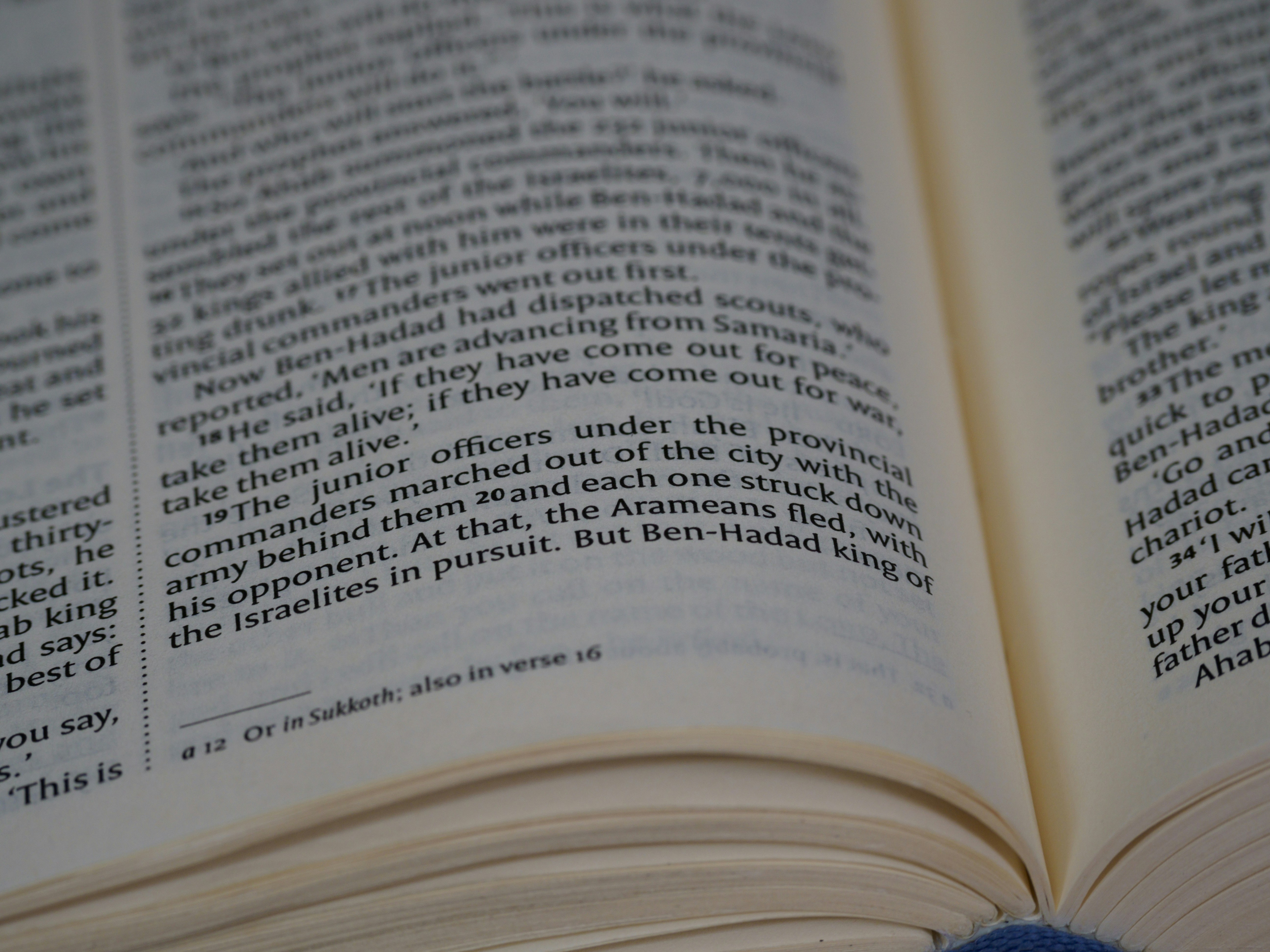 Photo by brett_jordan