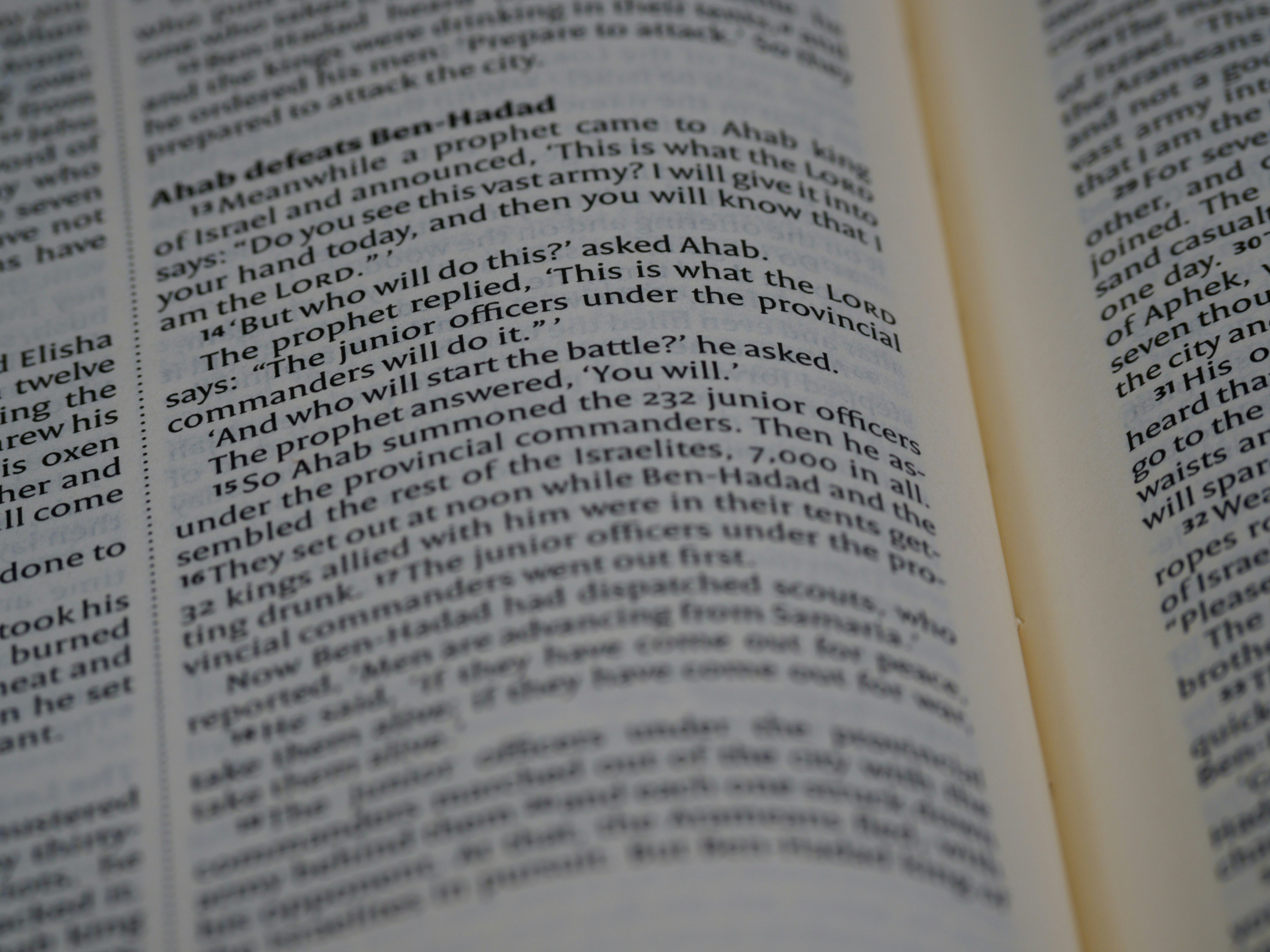 Photo by brett_jordan