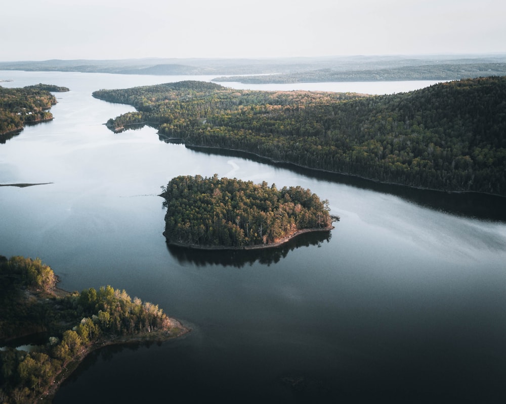 un grand plan d’eau entouré de forêt