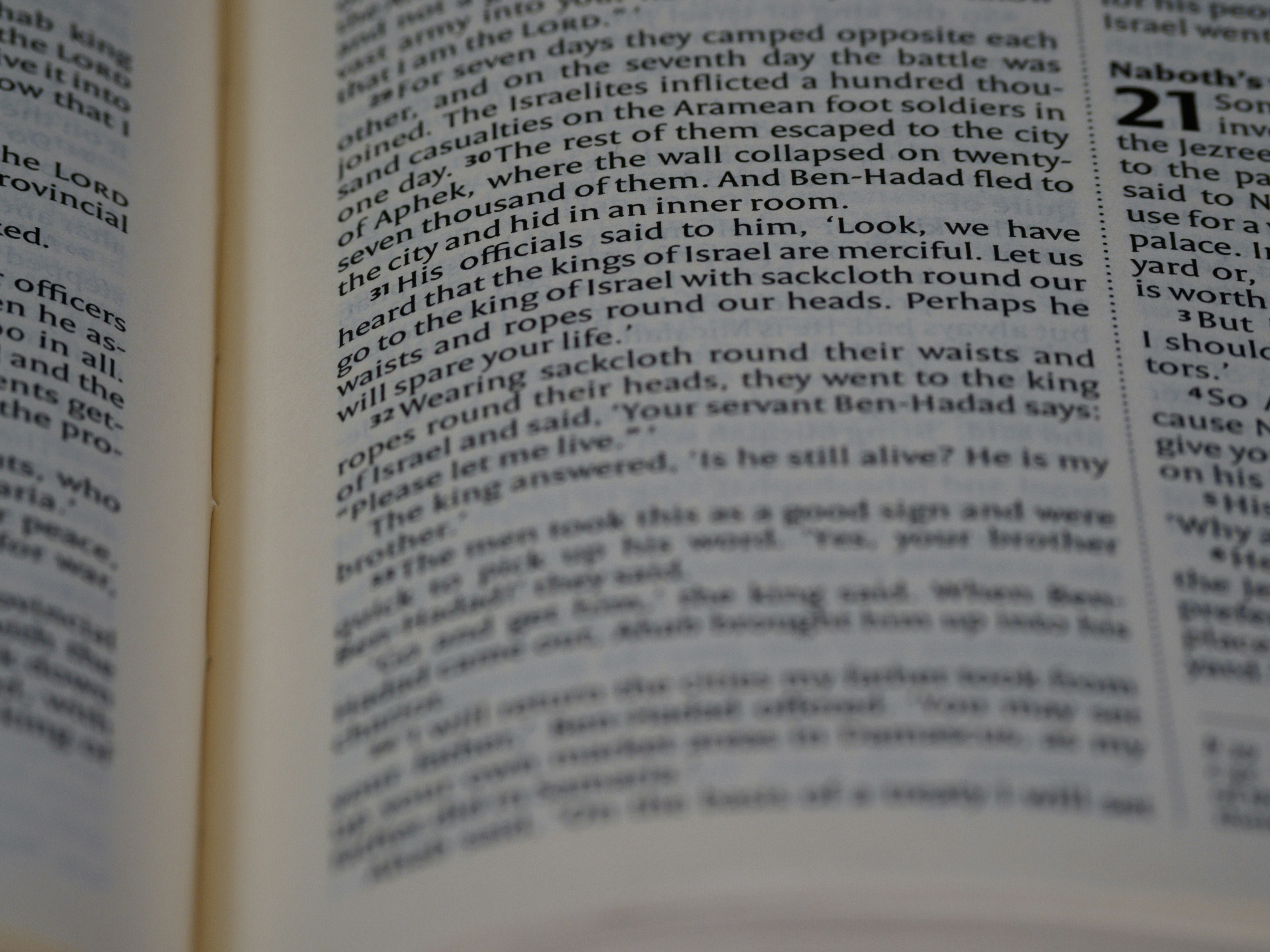 Photo by brett_jordan