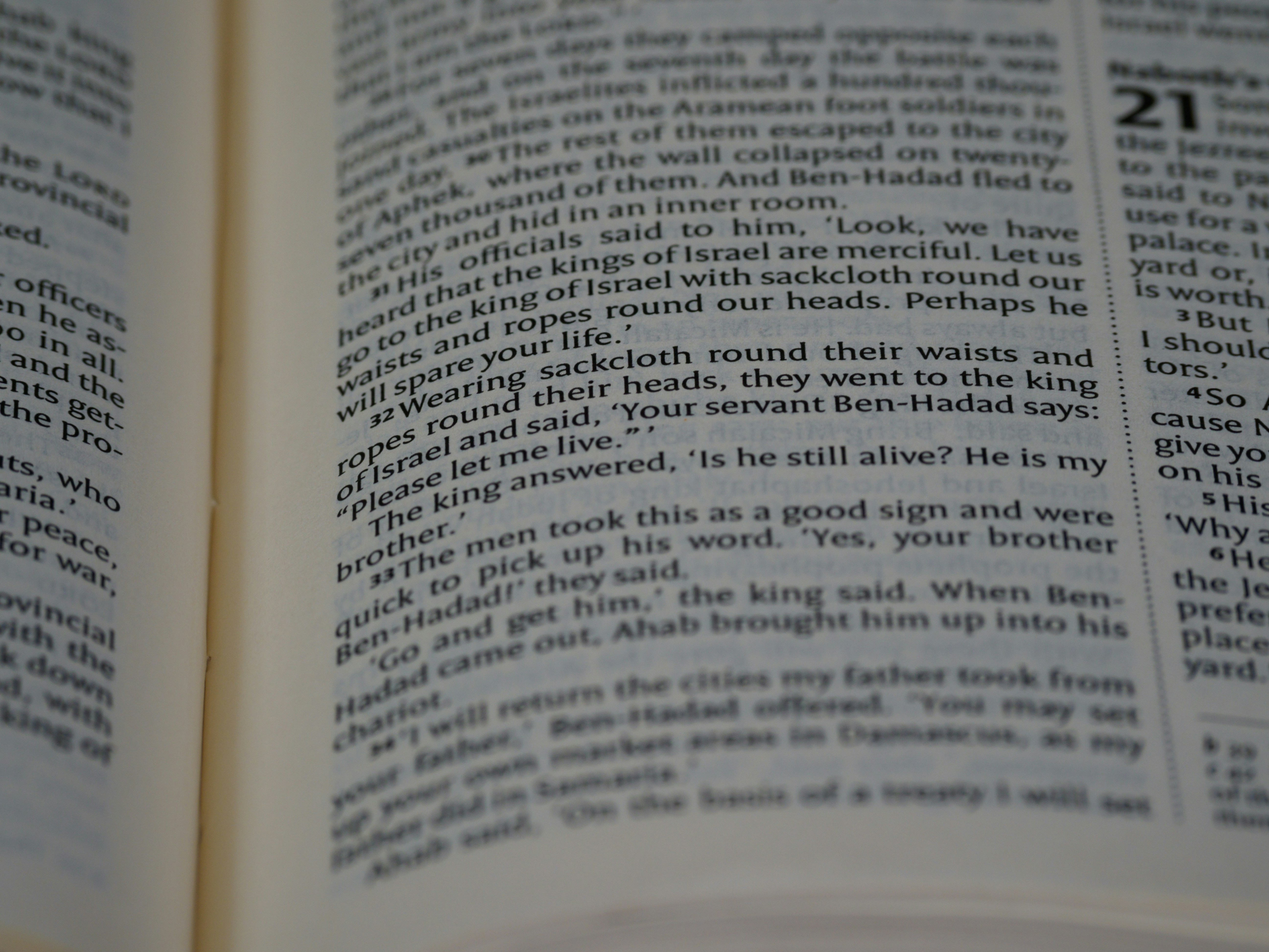 Photo by brett_jordan