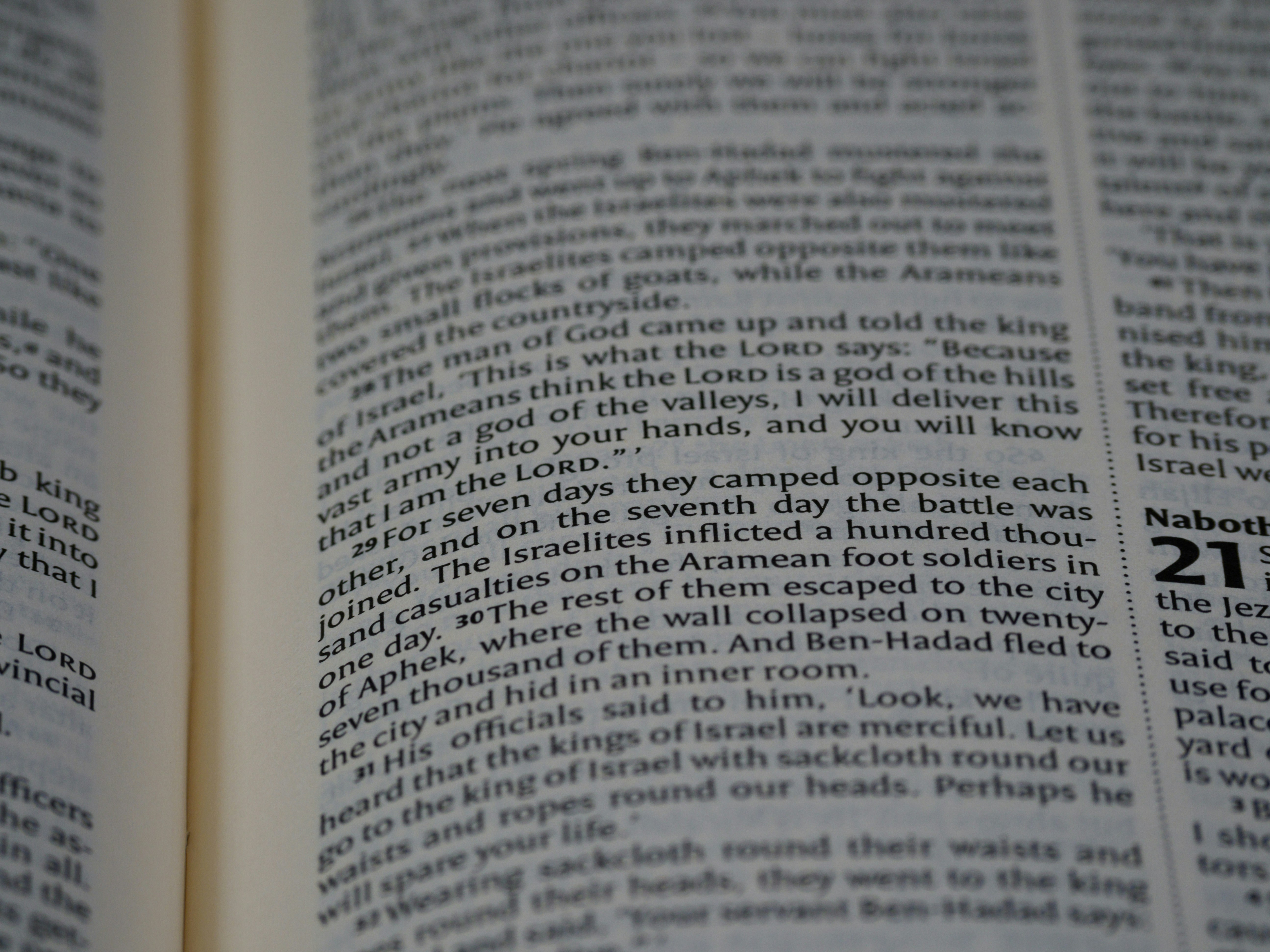 Photo by brett_jordan