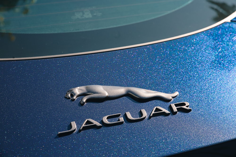 a close up of the emblem on a car