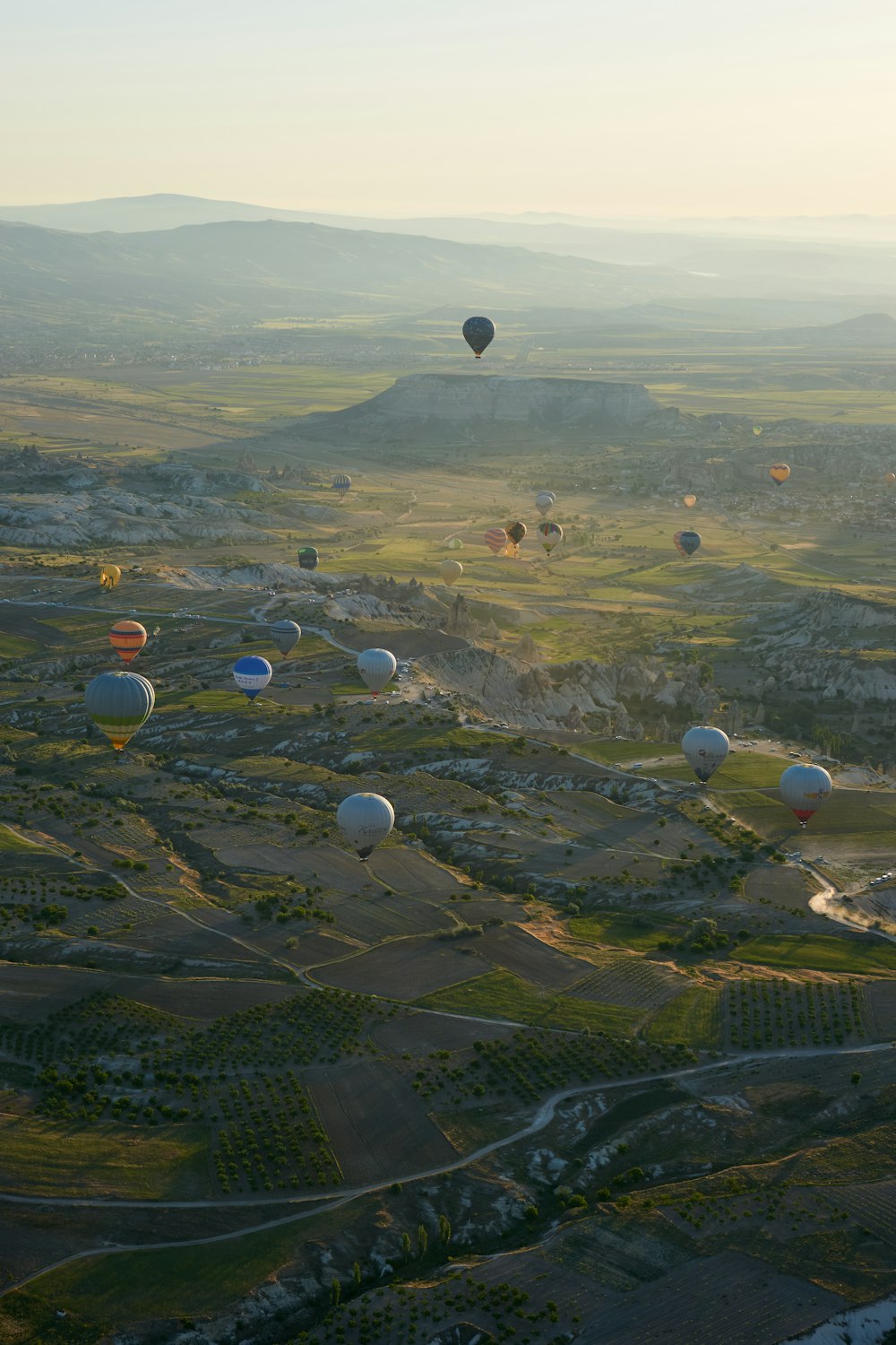 hot air balloons flying over green grass field during daytime